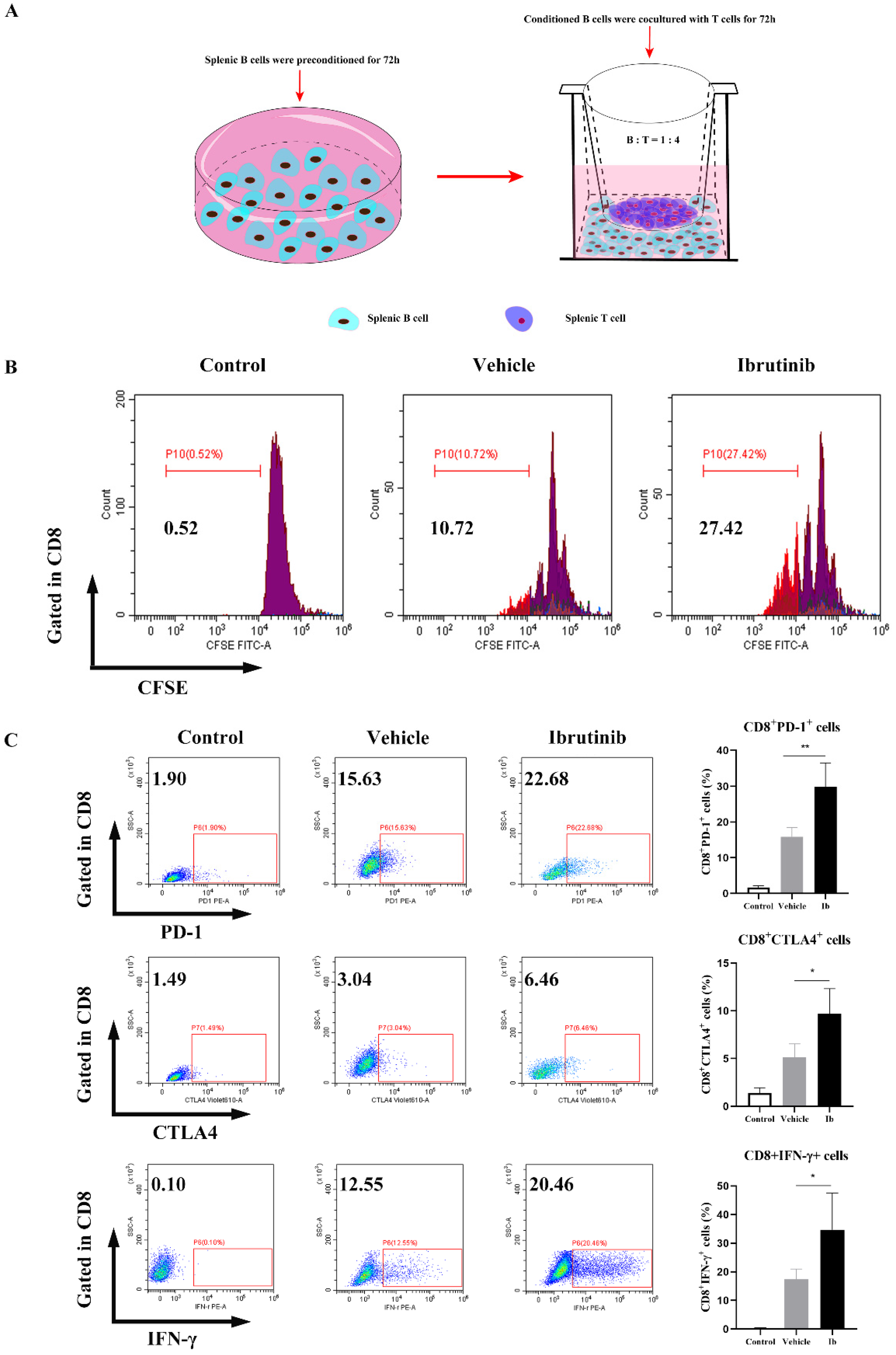 Cancers 15 02356 g006