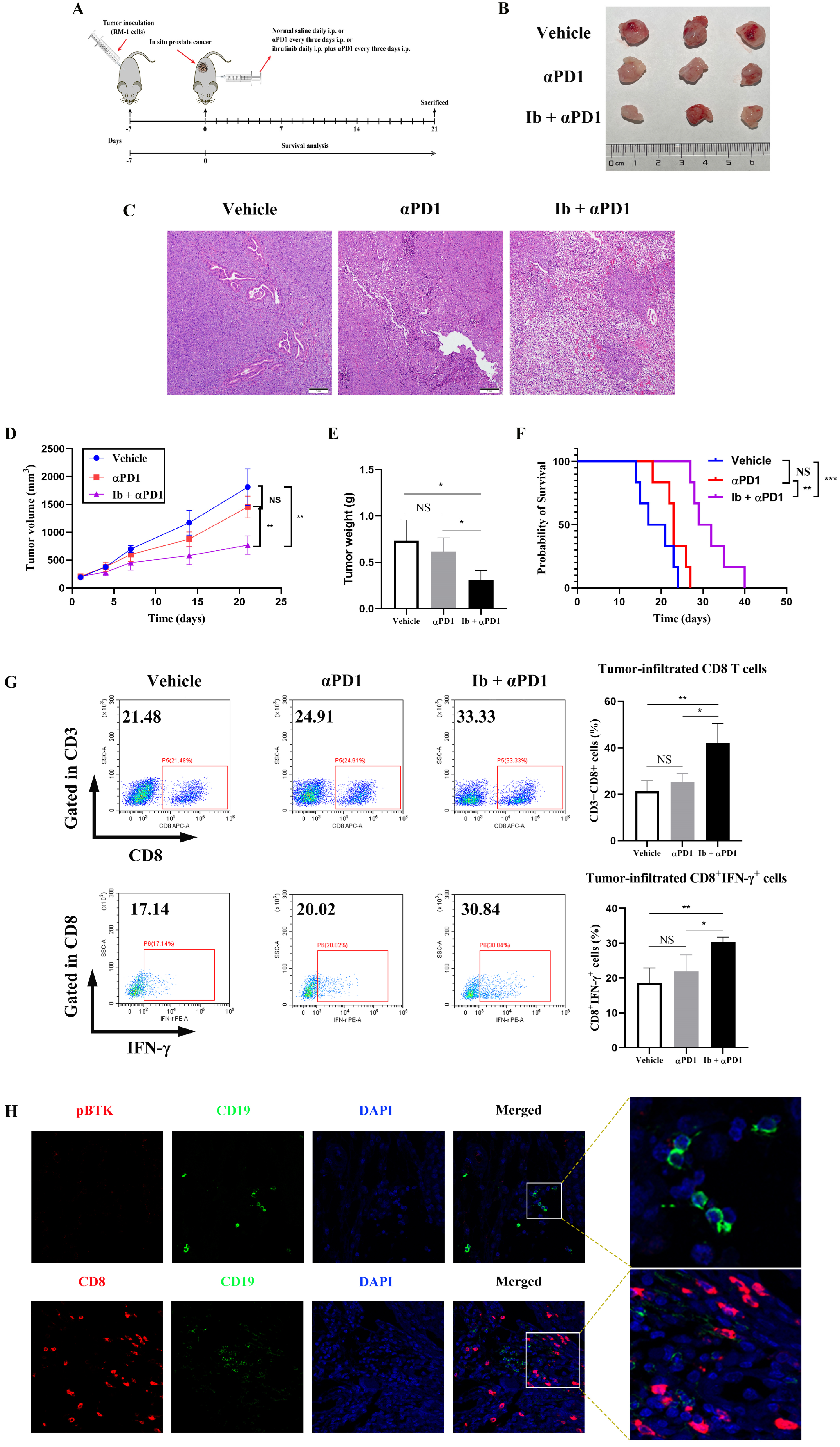 Cancers 15 02356 g007
