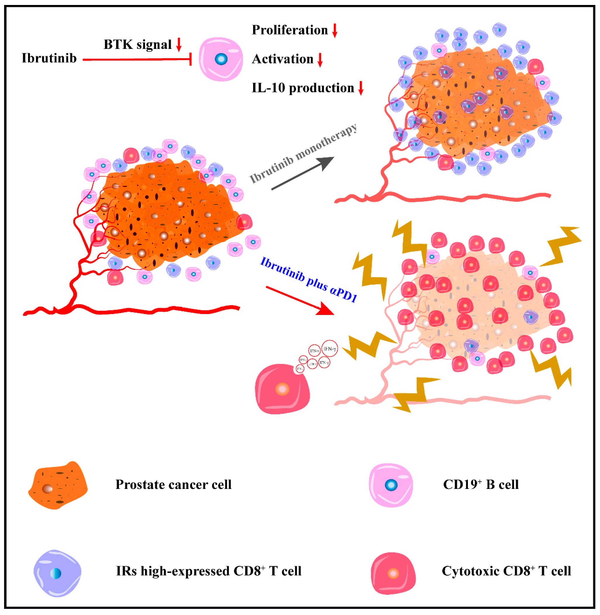 Cancers 15 02356 g008