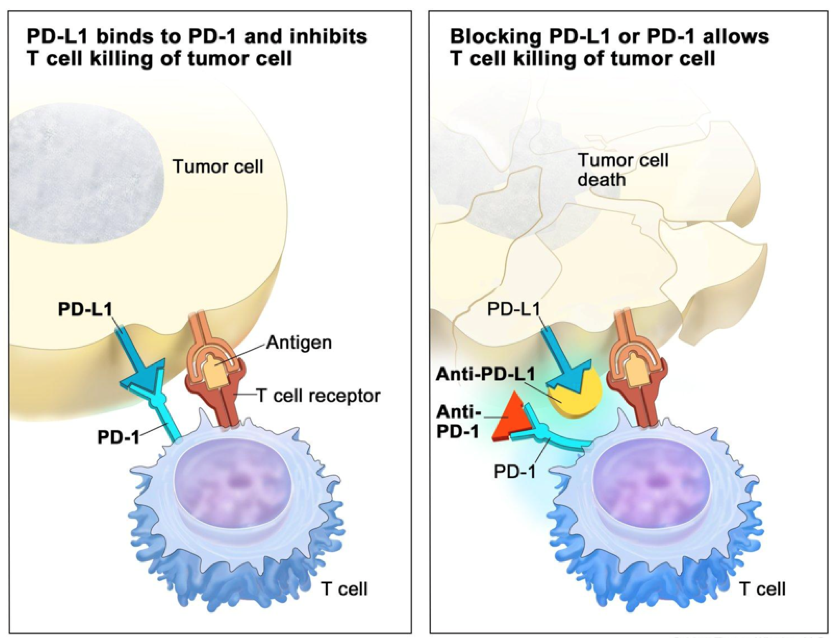 Cancers 15 02358 g001