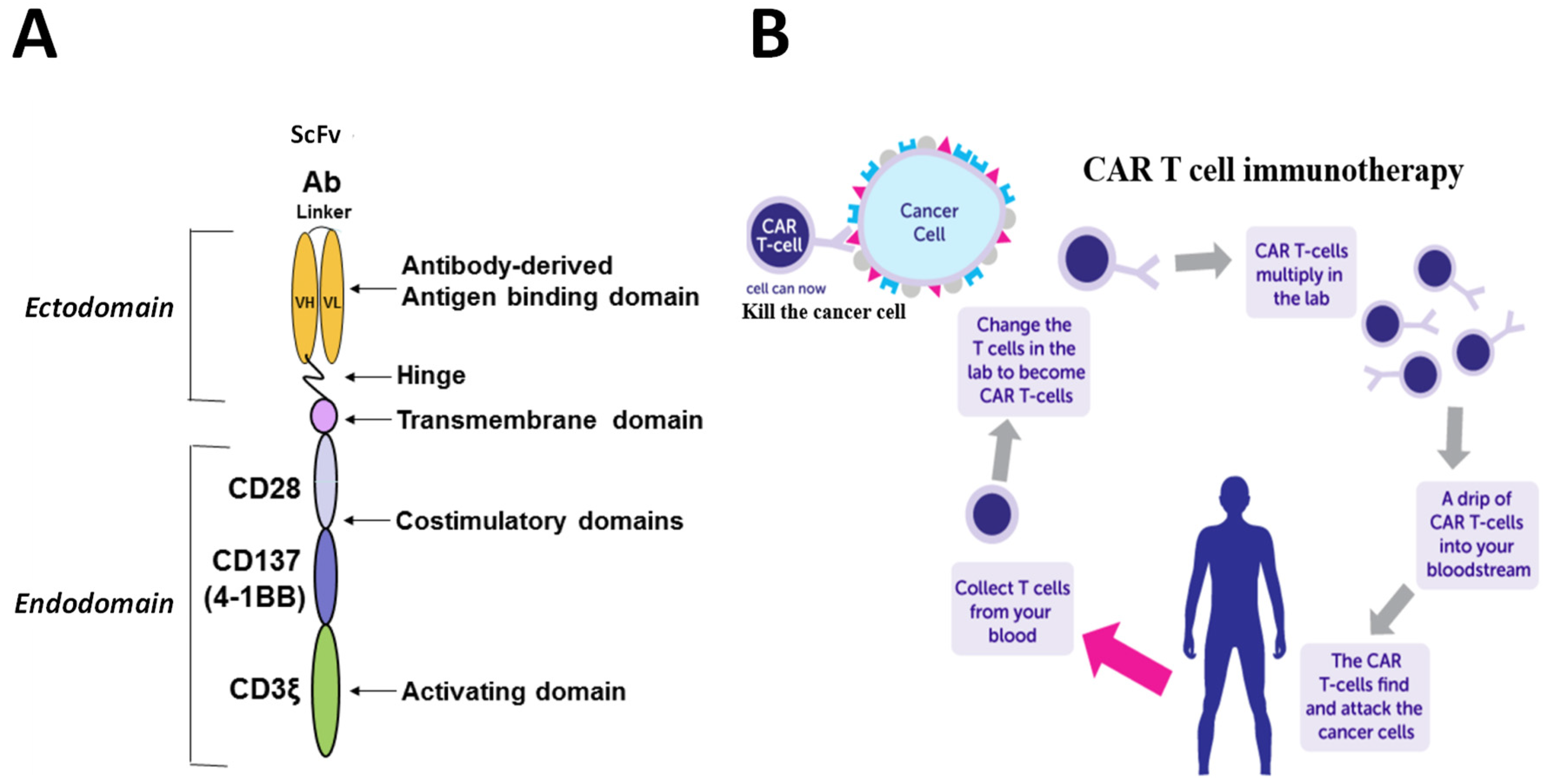 Cancers 15 02358 g002
