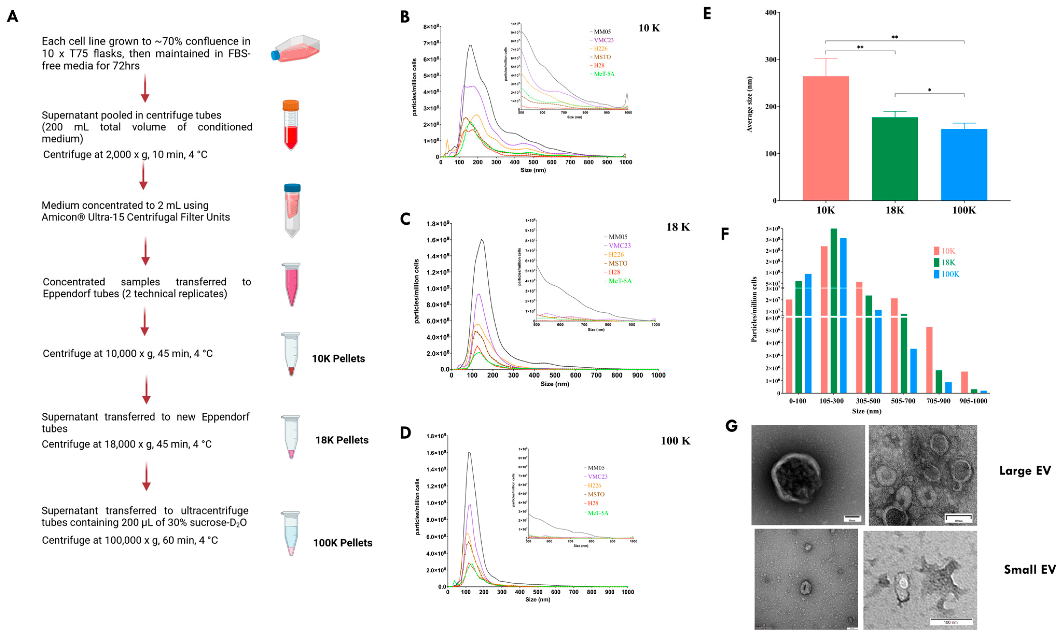Cancers 15 02364 g002