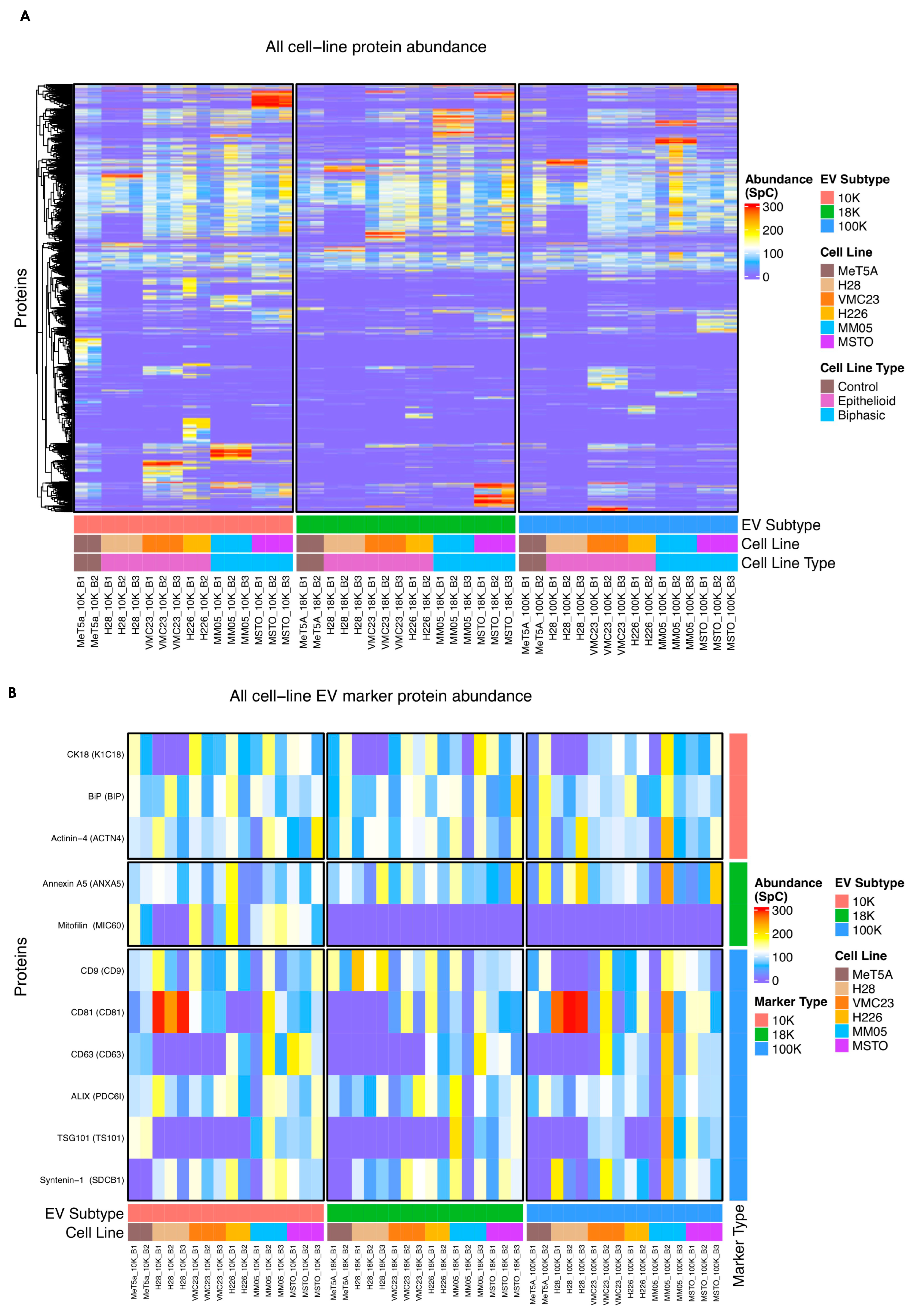 Cancers 15 02364 g006