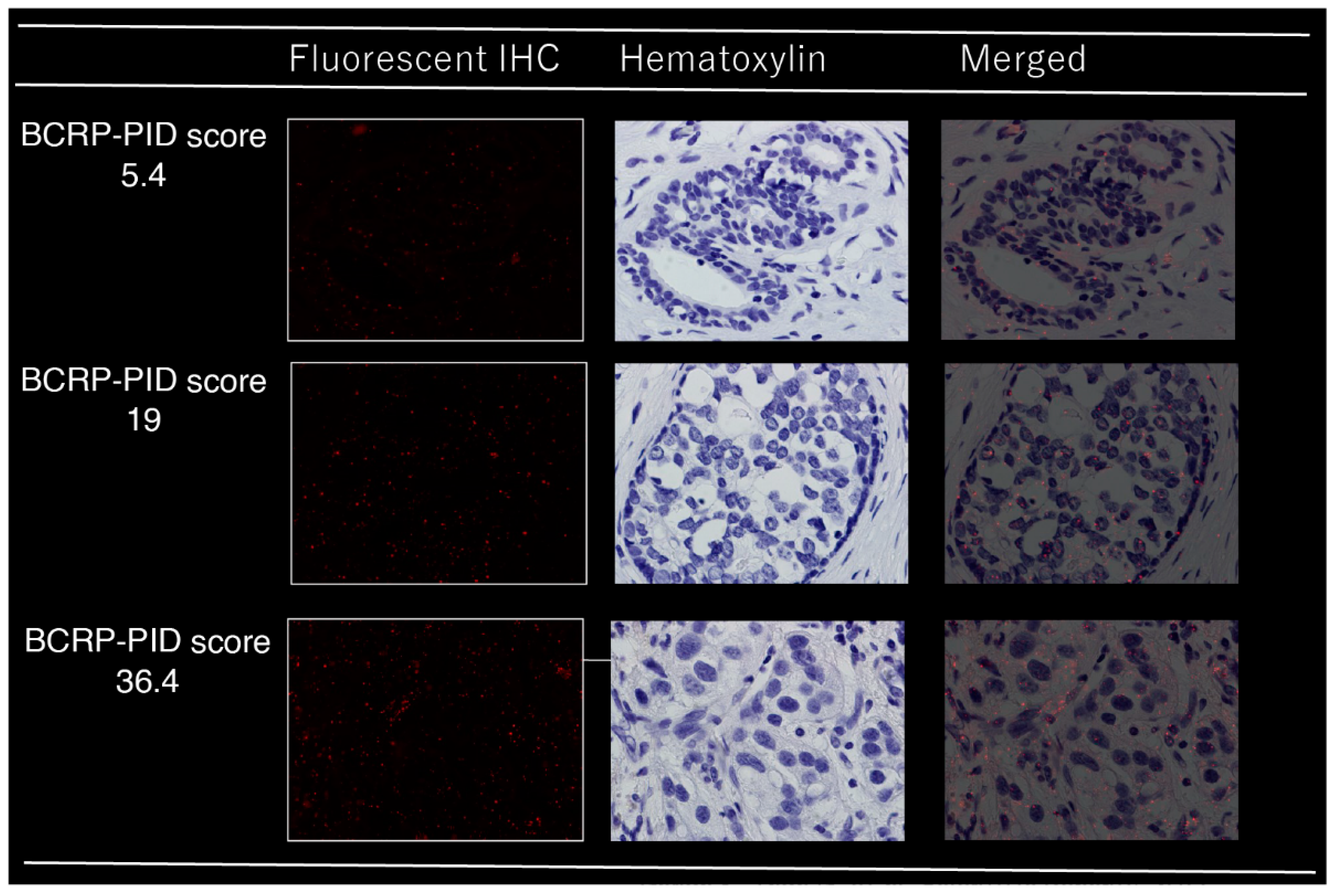 Cancers 15 02365 g001 Cancers 15 02365 g001