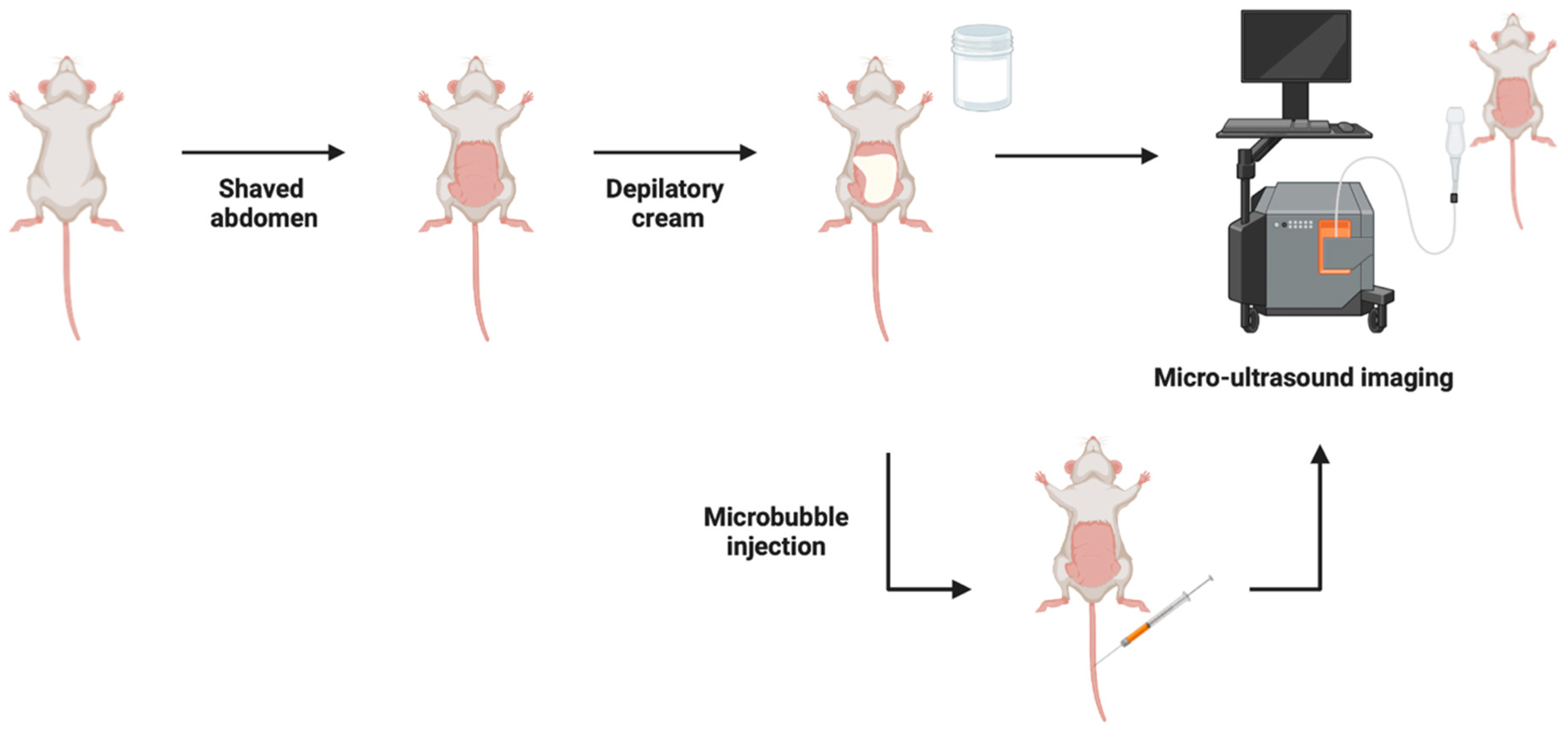 Cancers 15 02381 g002