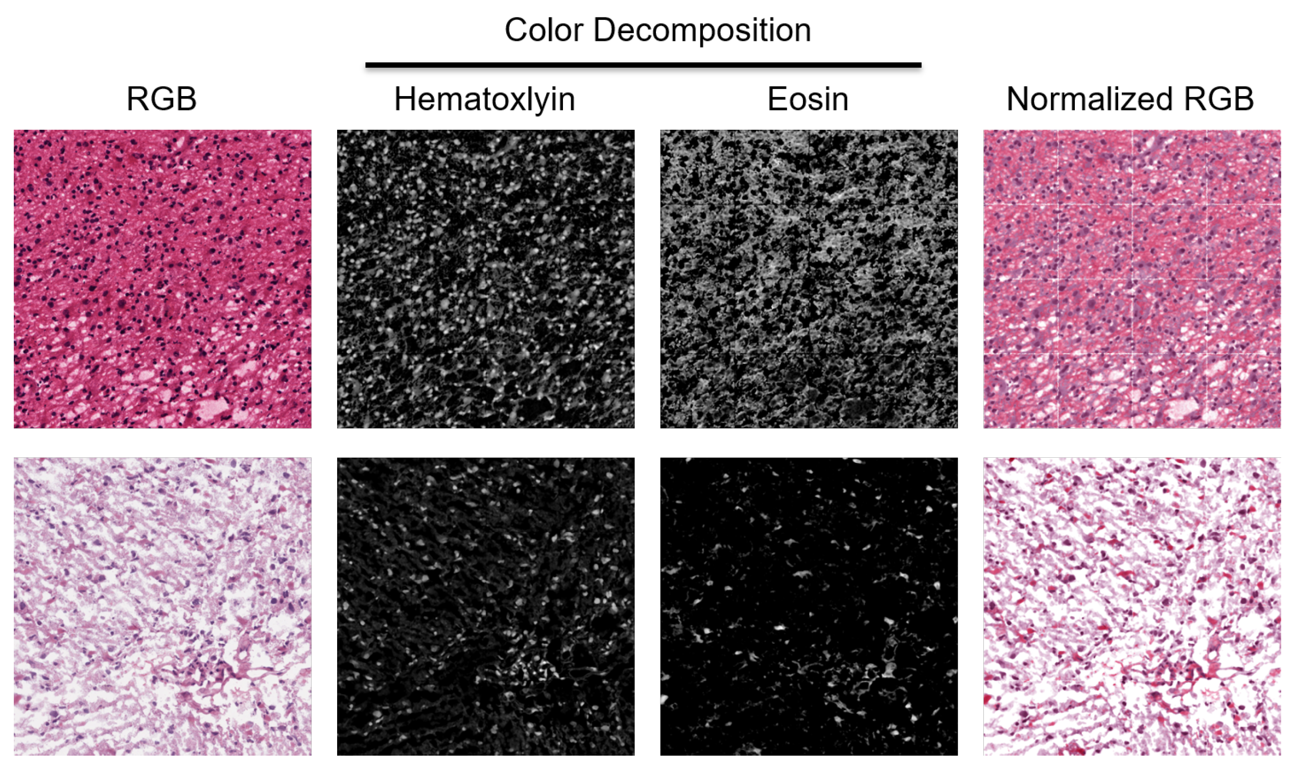 Cancers 15 02387 g002