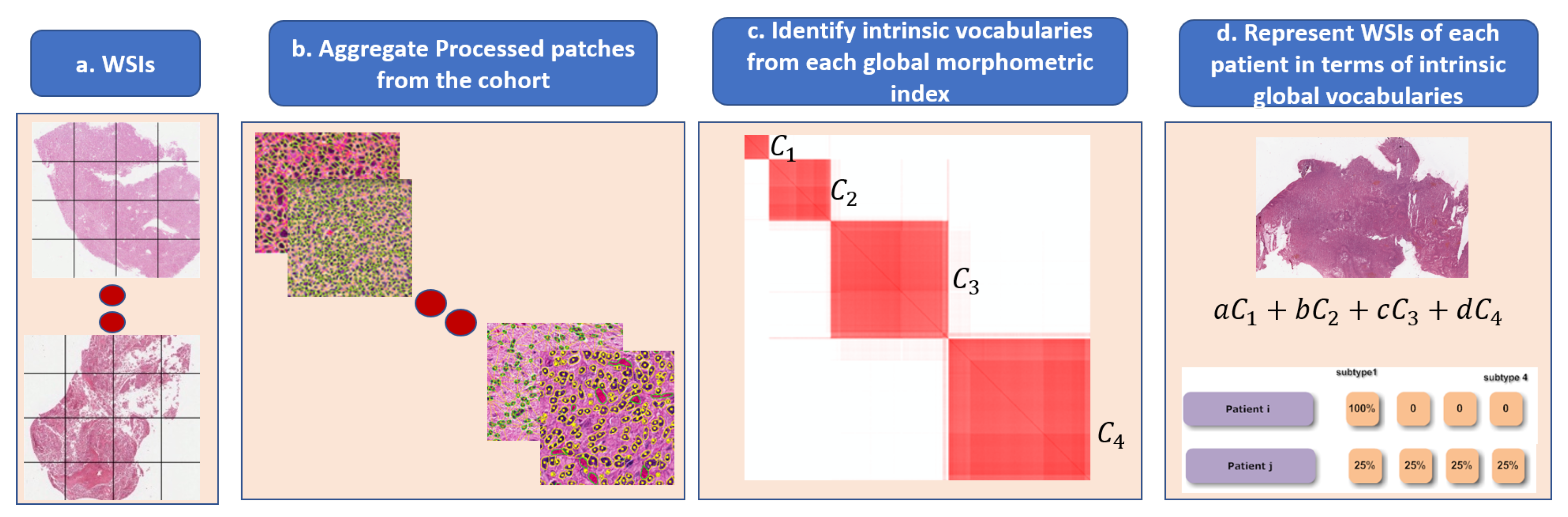Cancers 15 02387 g006
