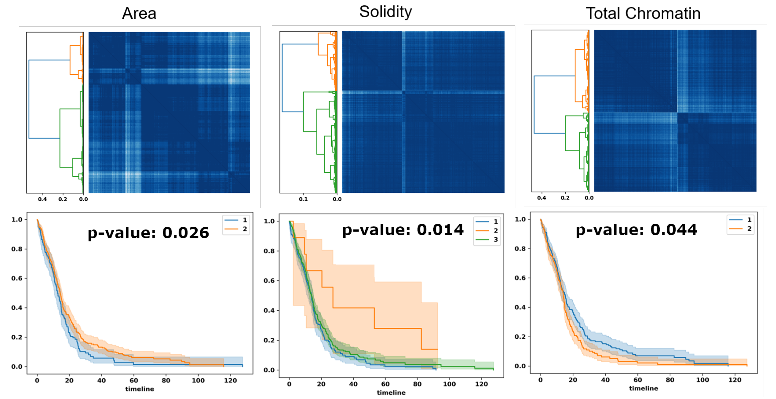 Cancers 15 02387 g007