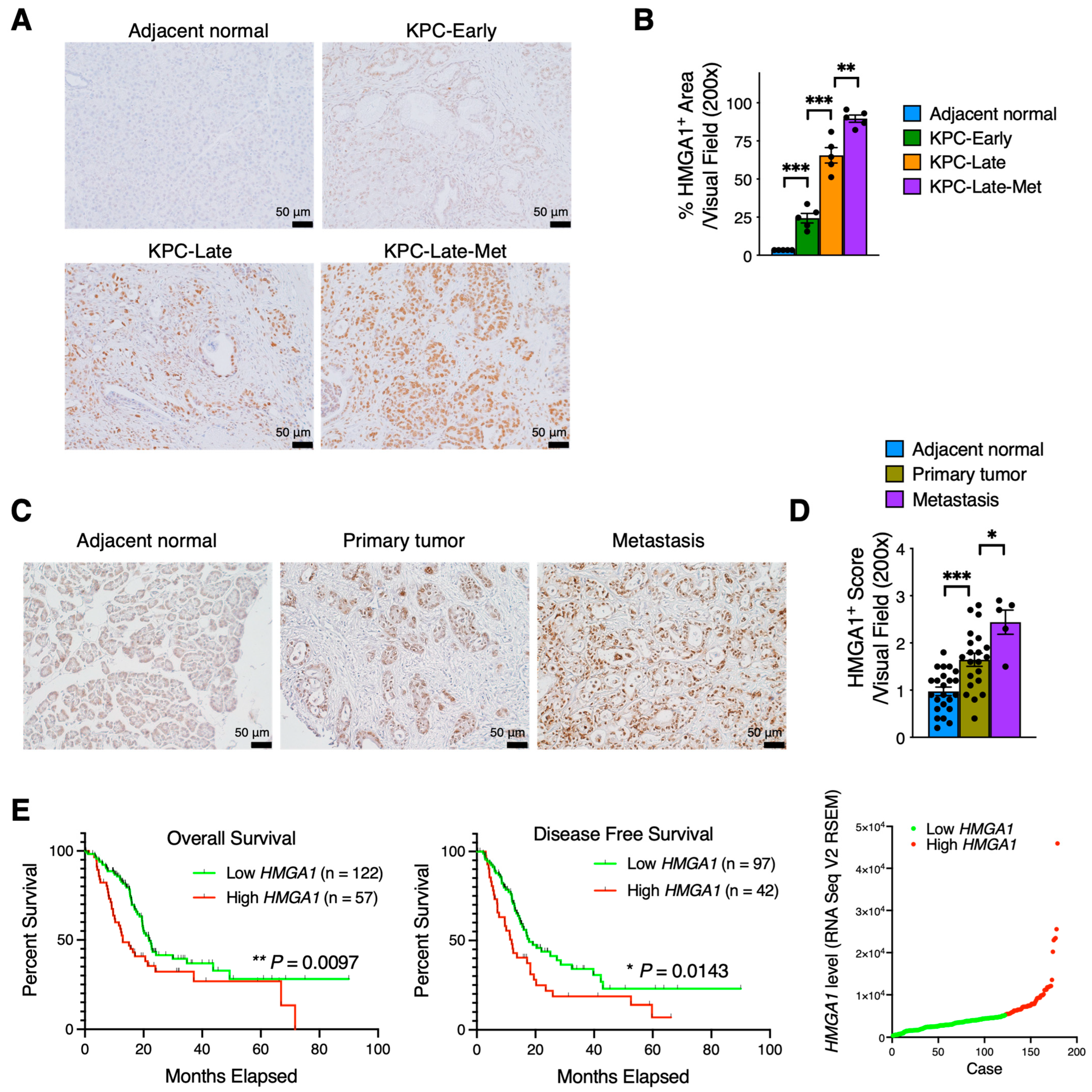 Cancers 15 02396 g004 Cancers 15 02396 g004