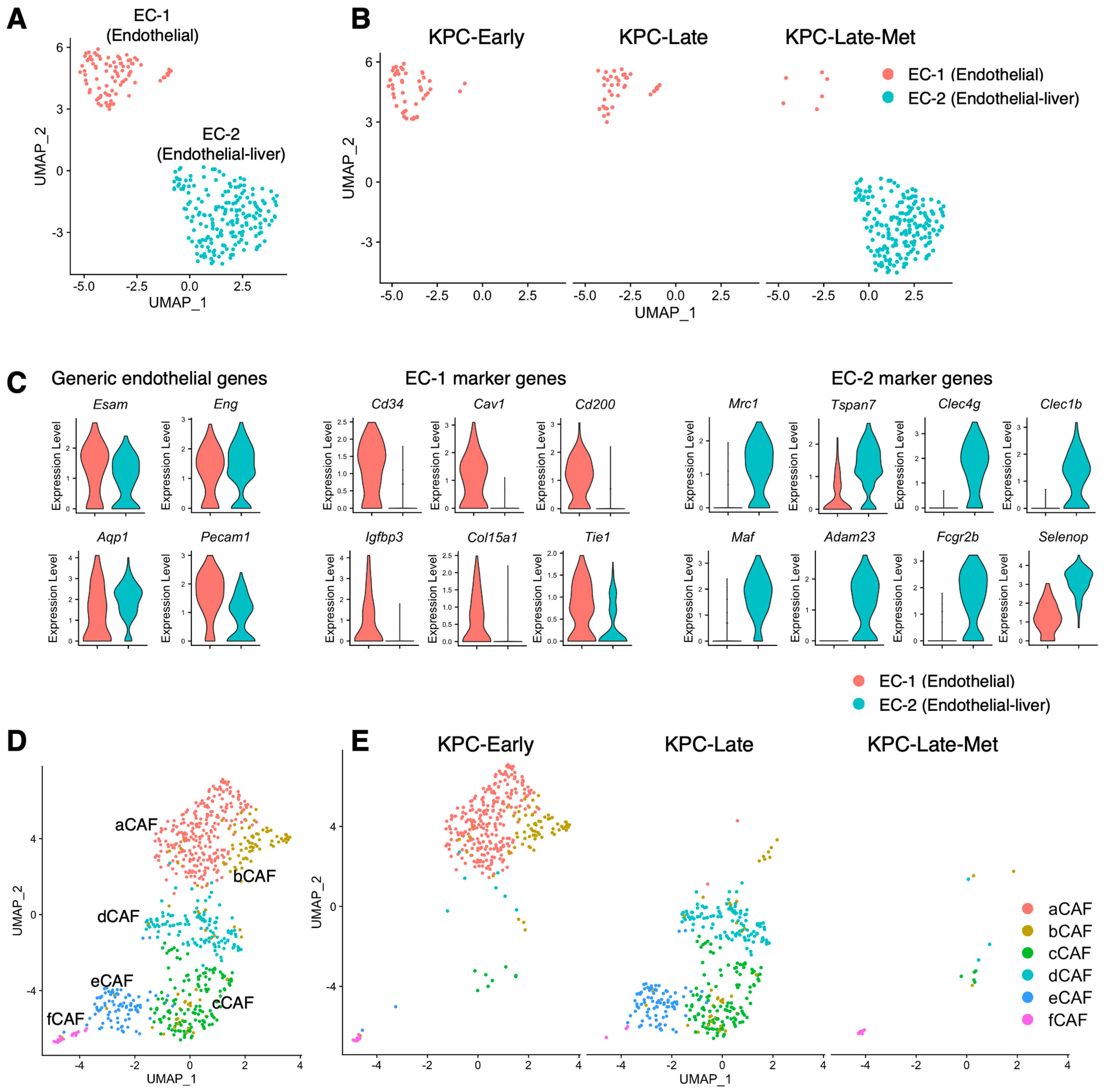 Cancers 15 02396 g005 Cancers 15 02396 g005