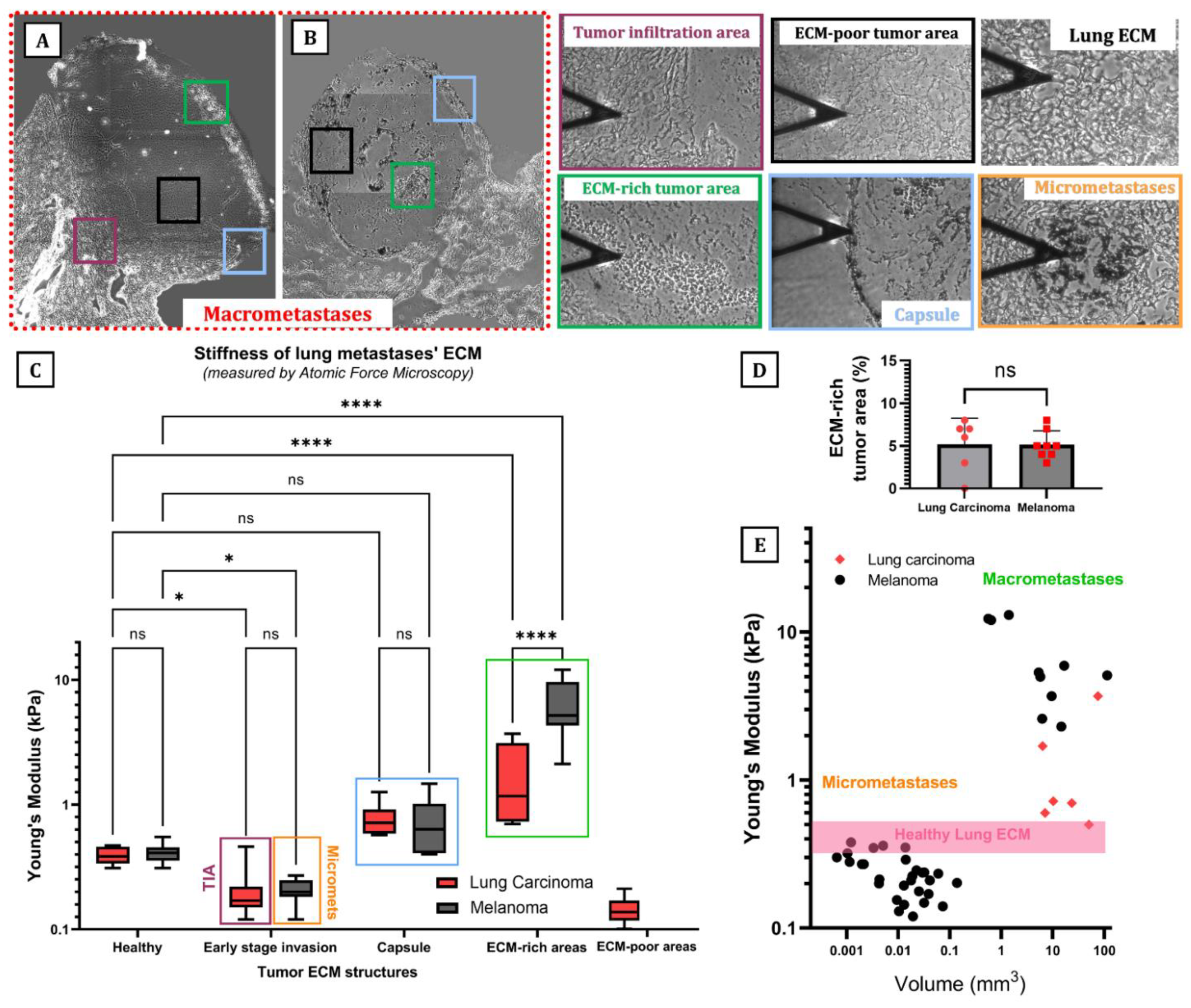 Cancers 15 02404 g002