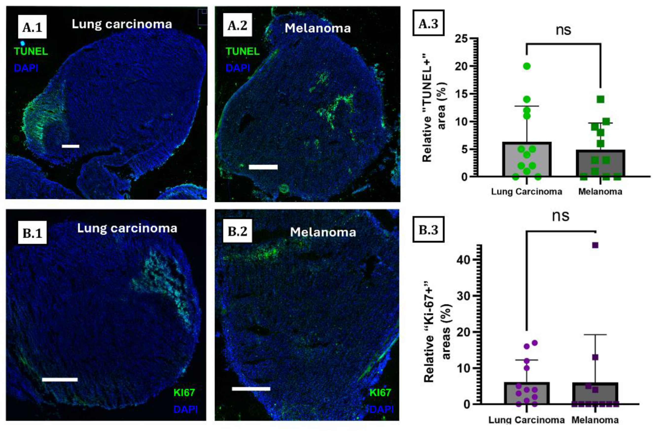 Cancers 15 02404 g006