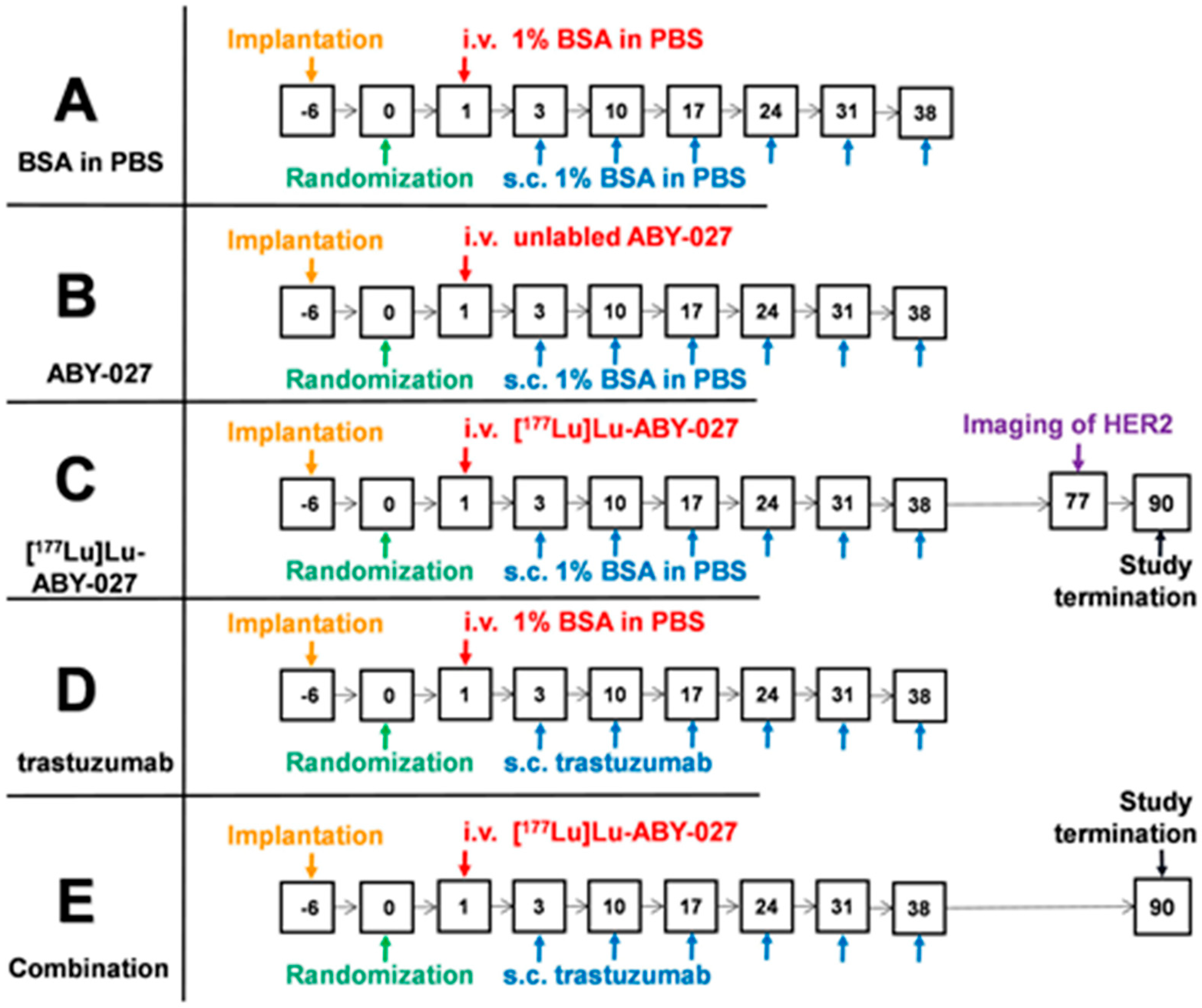 Cancers 15 02409 g001