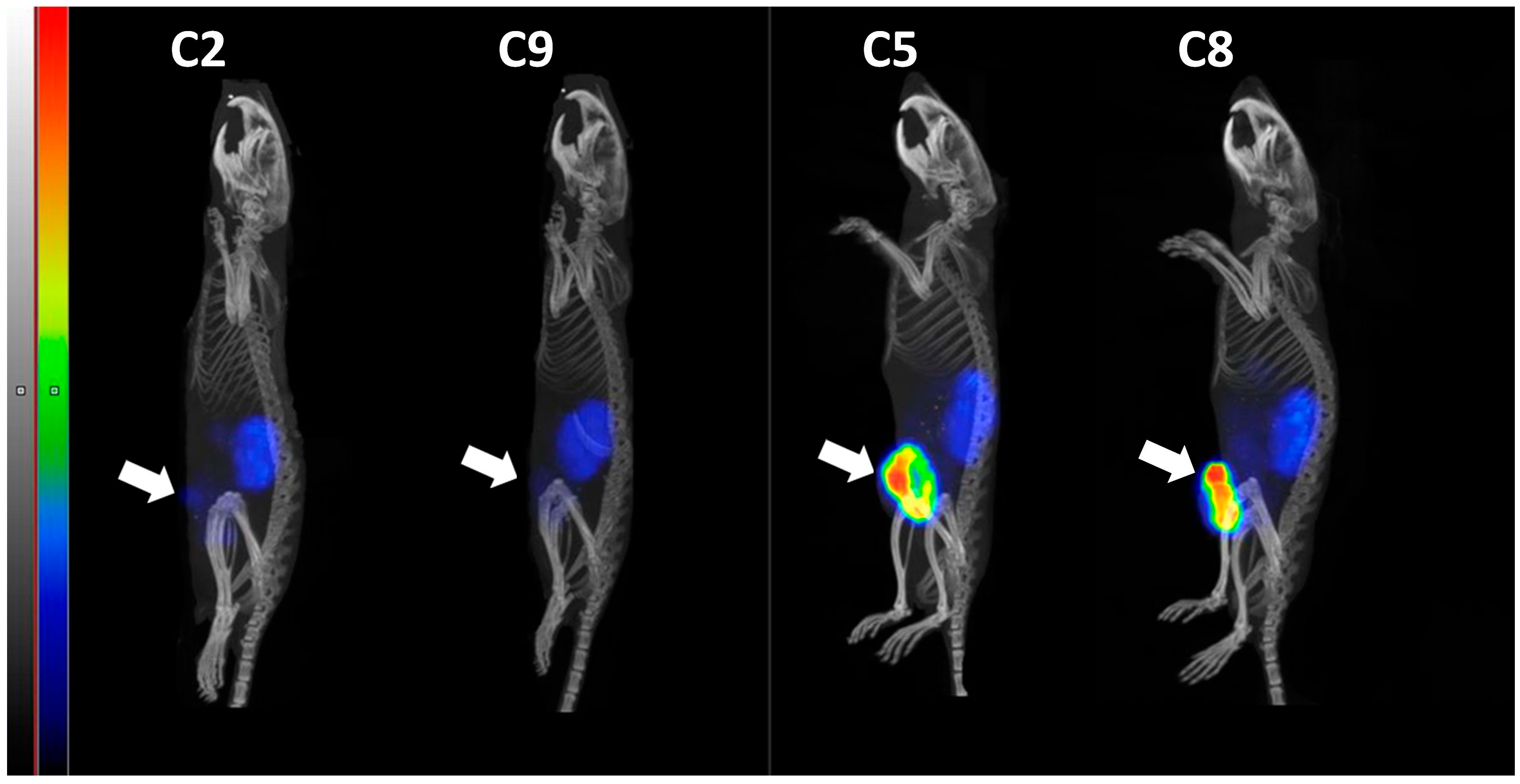 Cancers 15 02409 g008