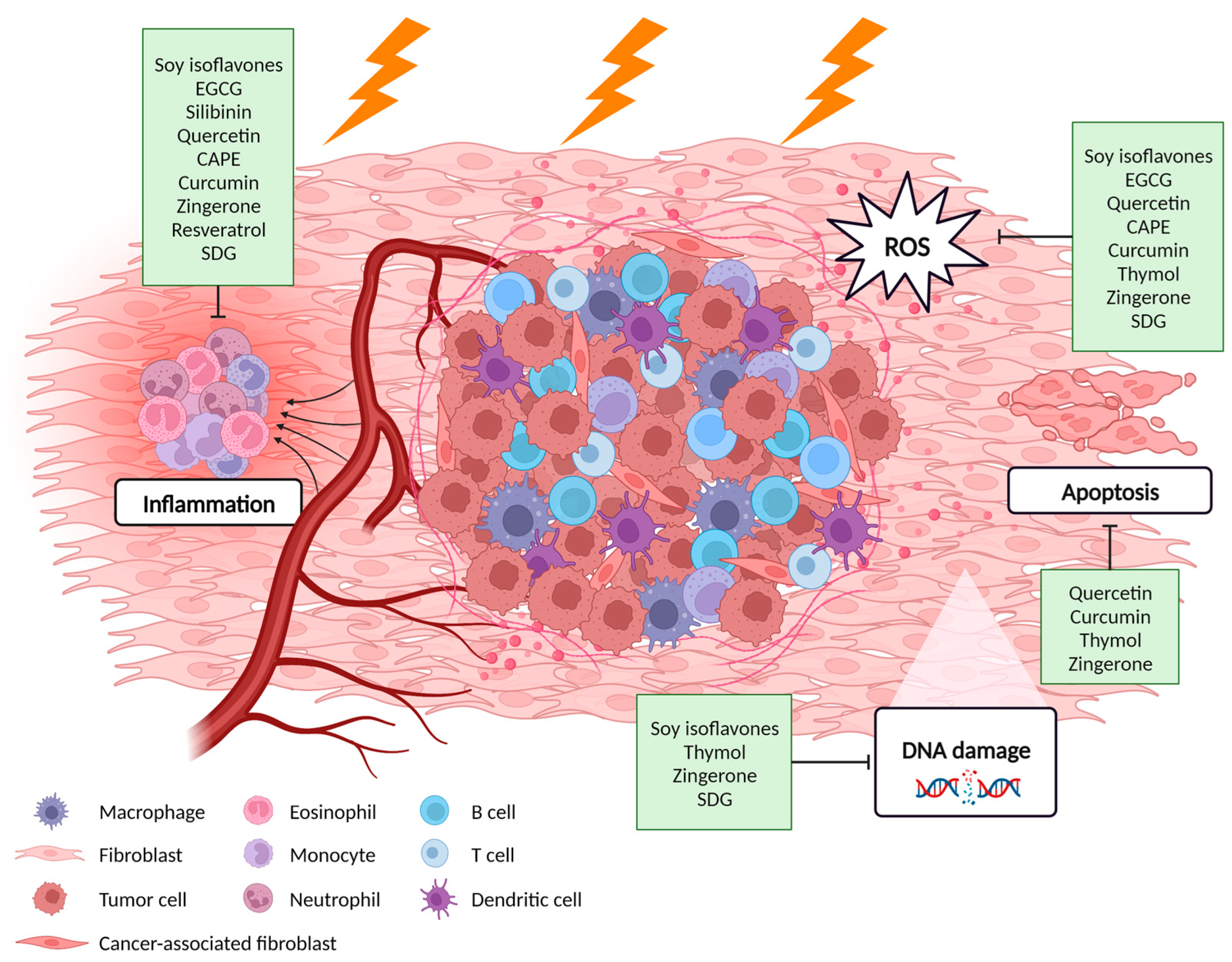 Cancers 15 02412 g001 Cancers 15 02412 g001