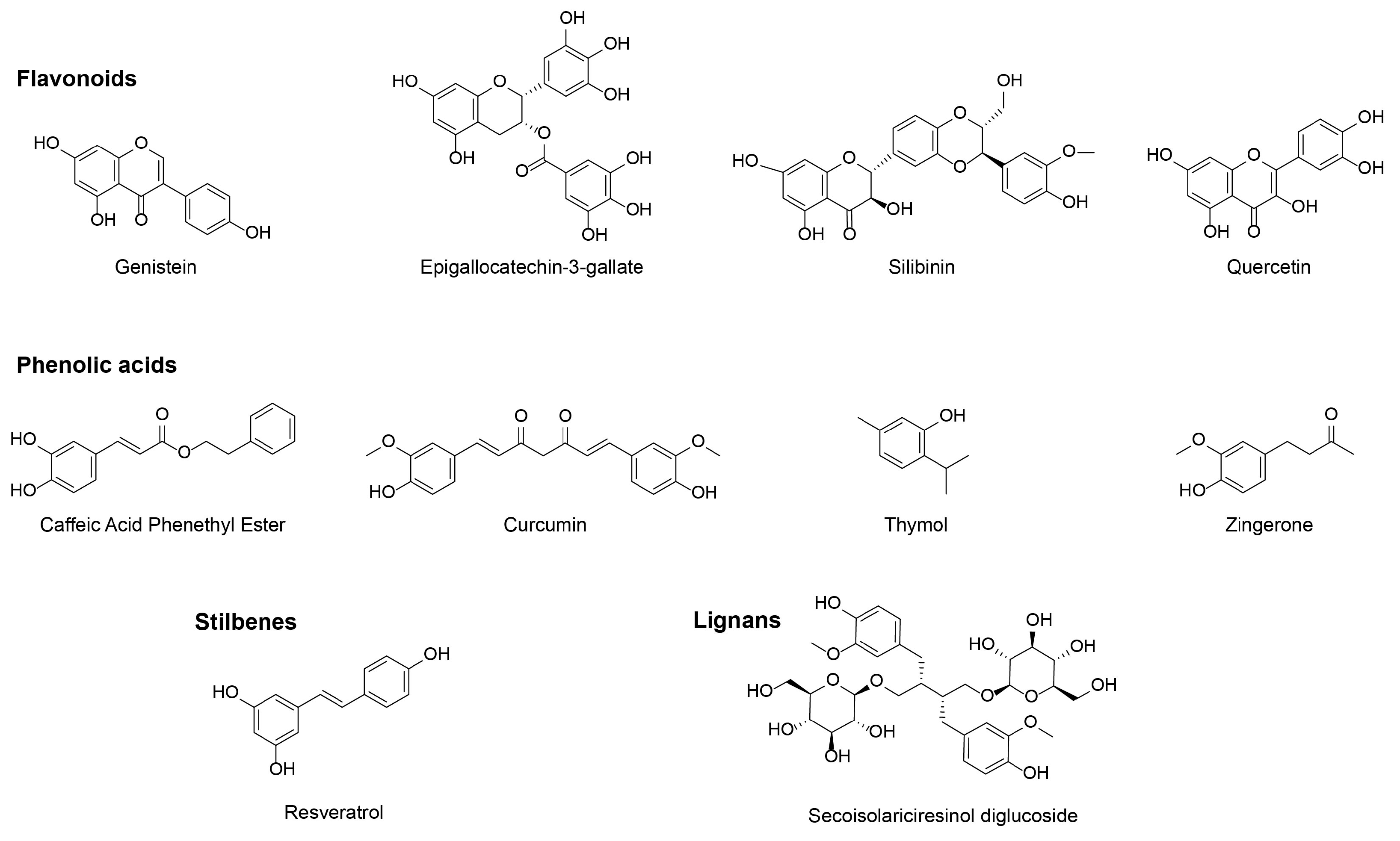 Cancers 15 02412 g002 Cancers 15 02412 g002
