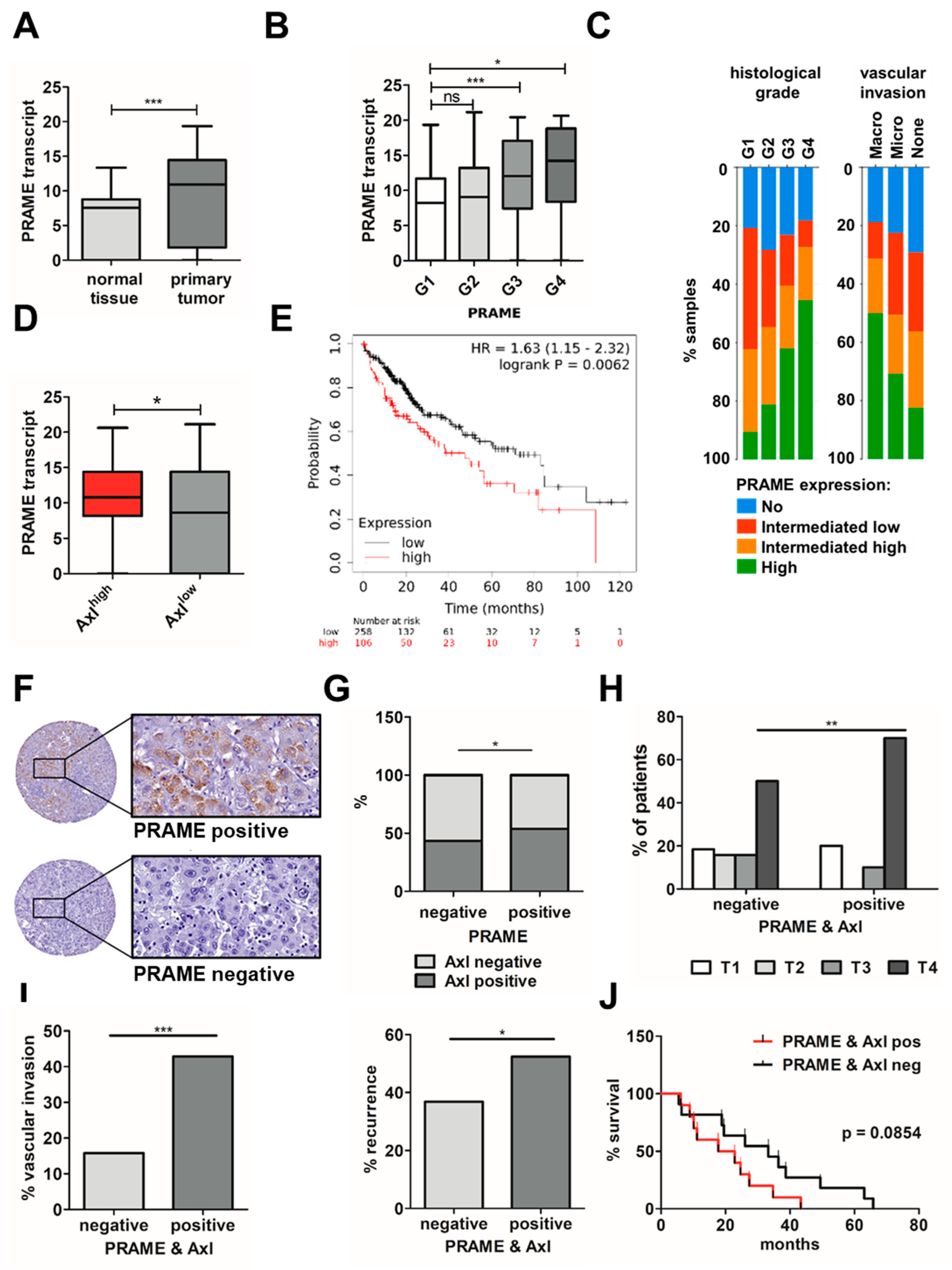 Cancers 15 02415 g006 Cancers 15 02415 g006