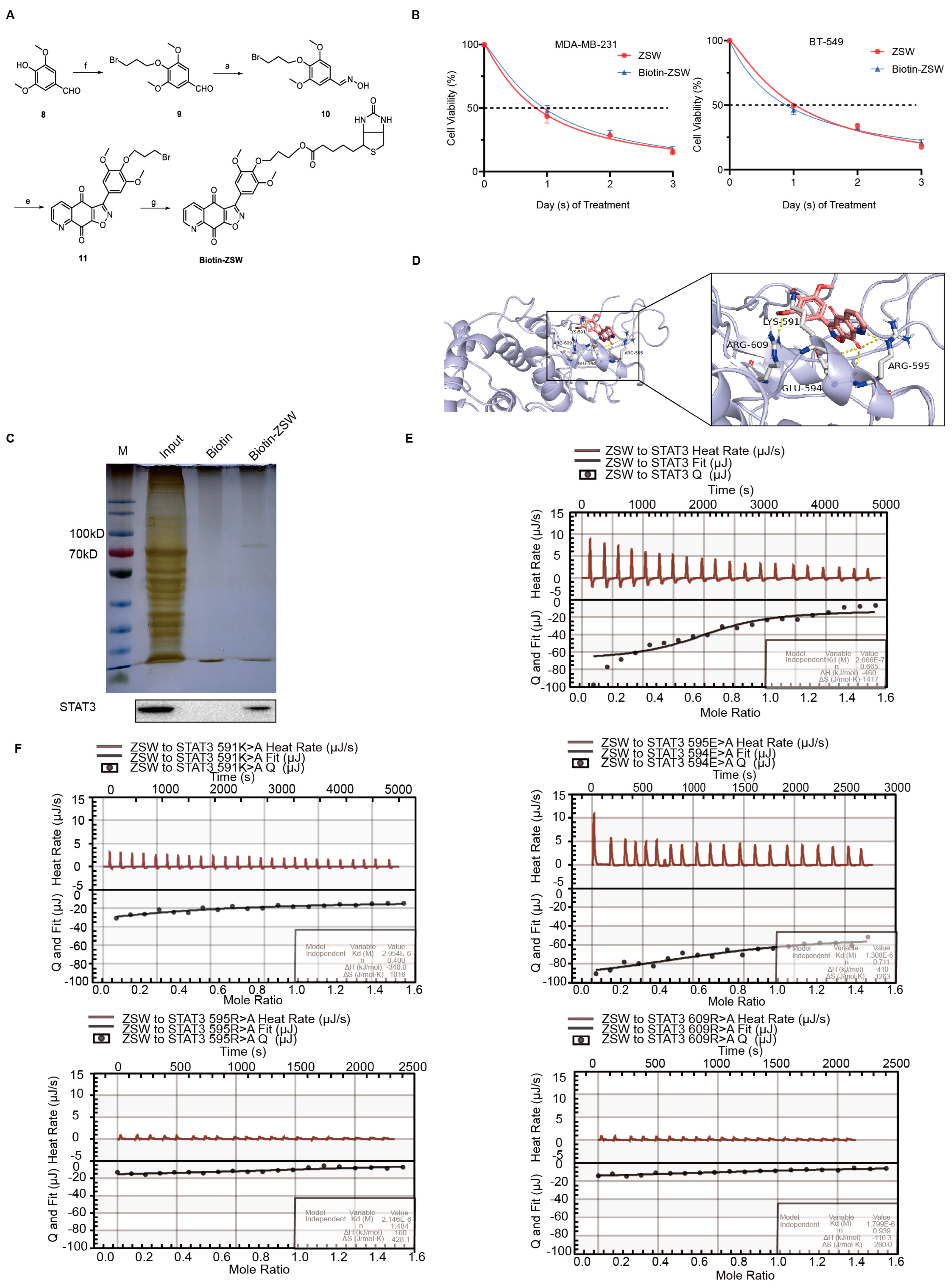 Cancers 15 02424 g003 Cancers 15 02424 g003