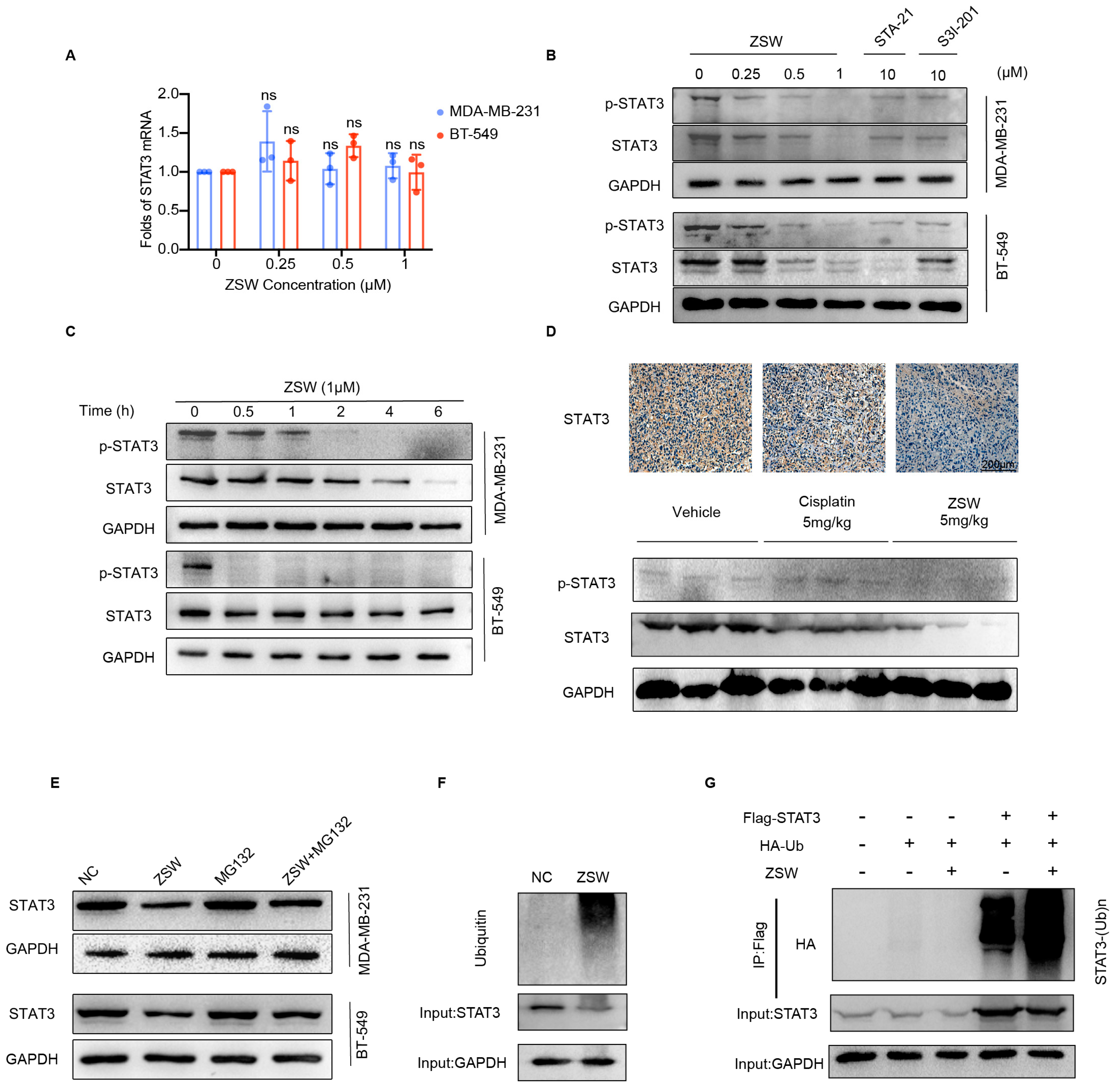 Cancers 15 02424 g004 Cancers 15 02424 g004