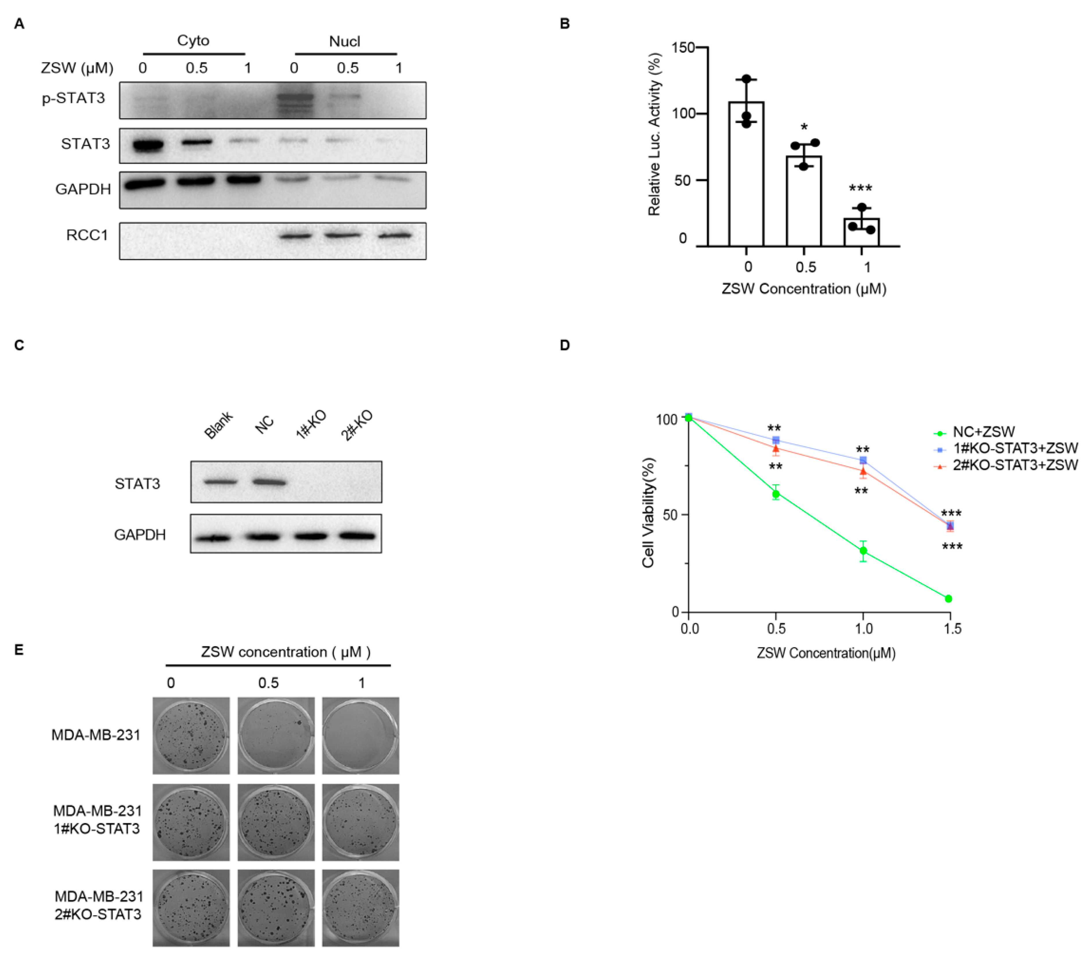 Cancers 15 02424 g005 Cancers 15 02424 g005