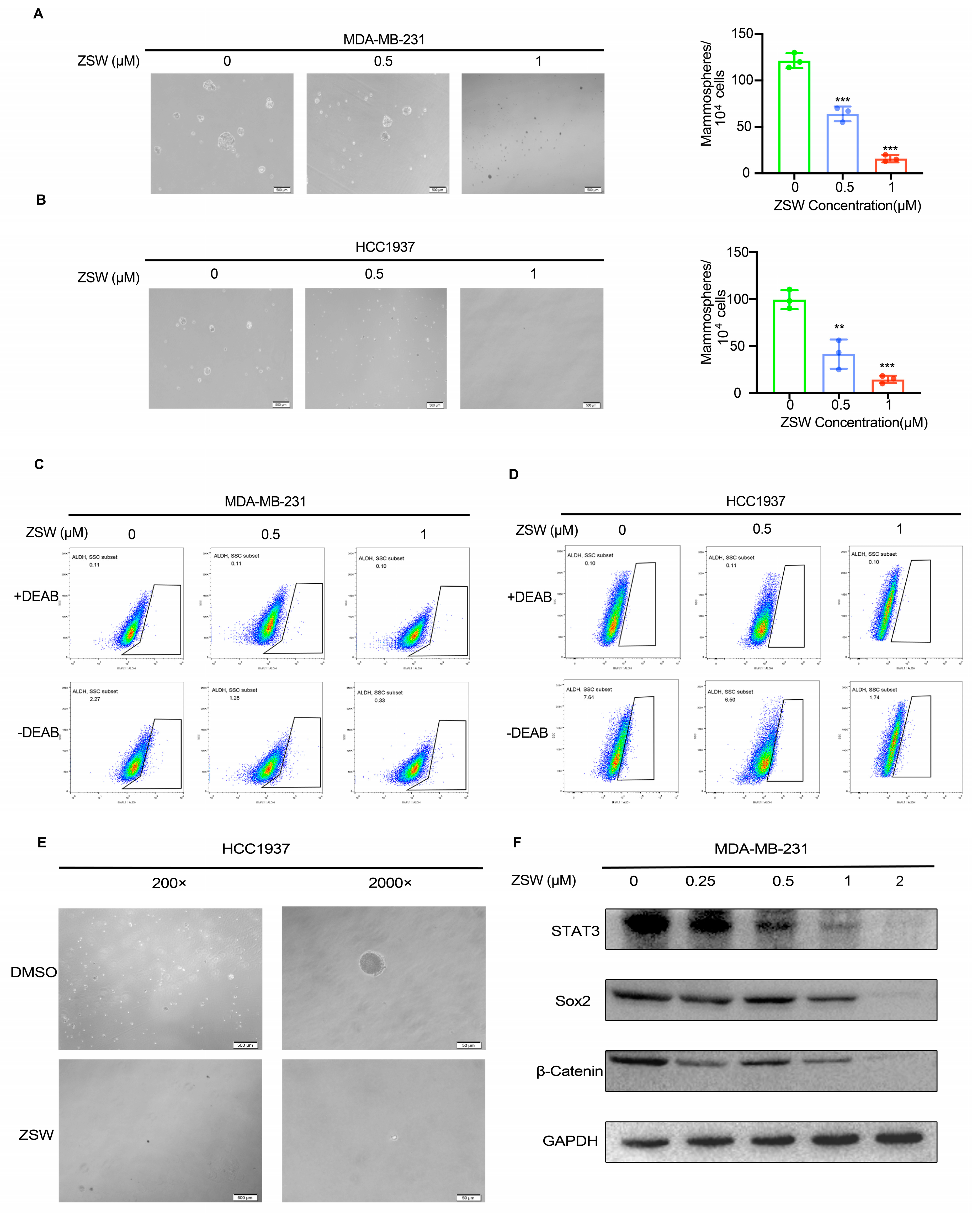Cancers 15 02424 g006 Cancers 15 02424 g006