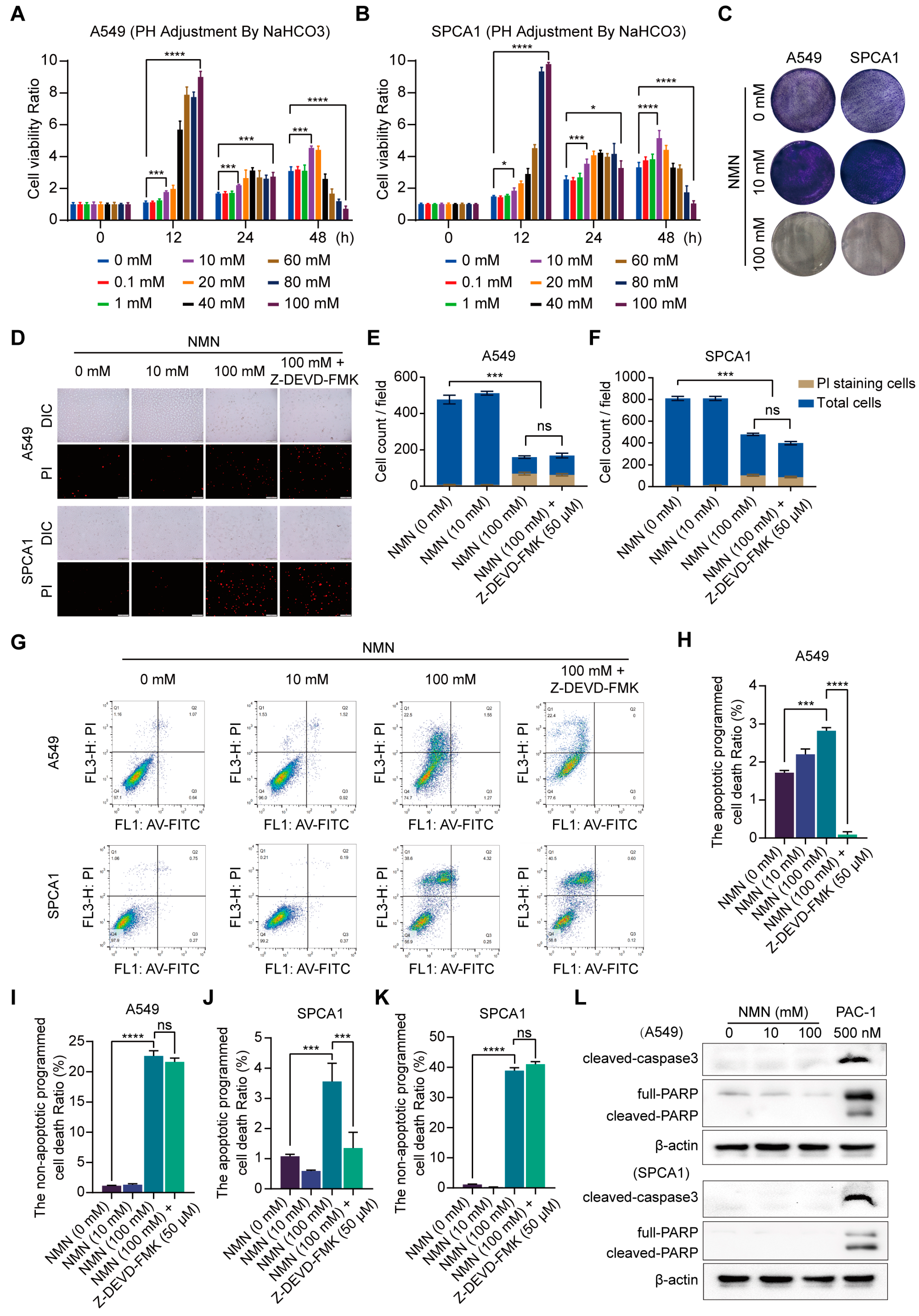 Cancers 15 02427 g001 Cancers 15 02427 g001