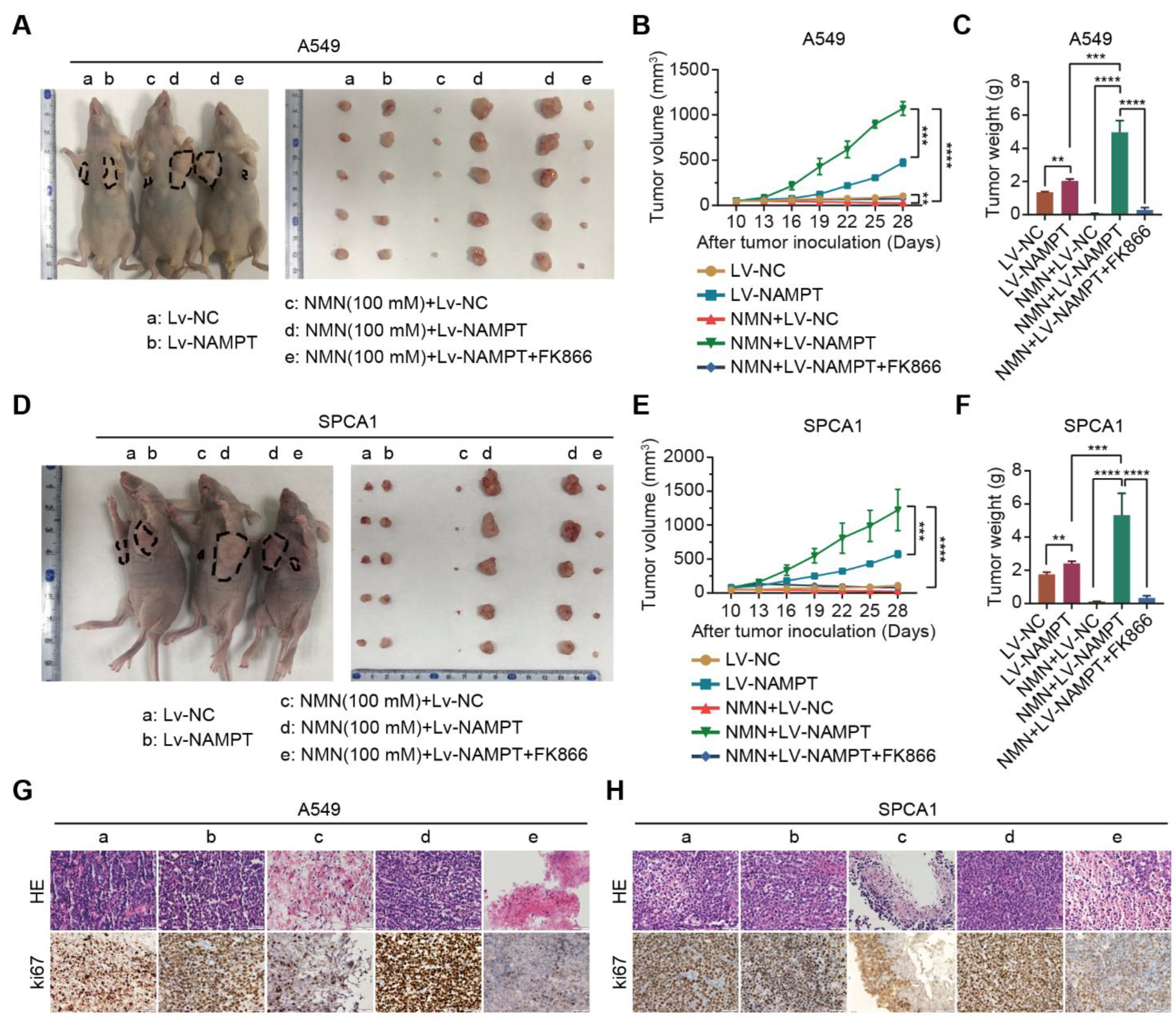 Cancers 15 02427 g005 Cancers 15 02427 g005
