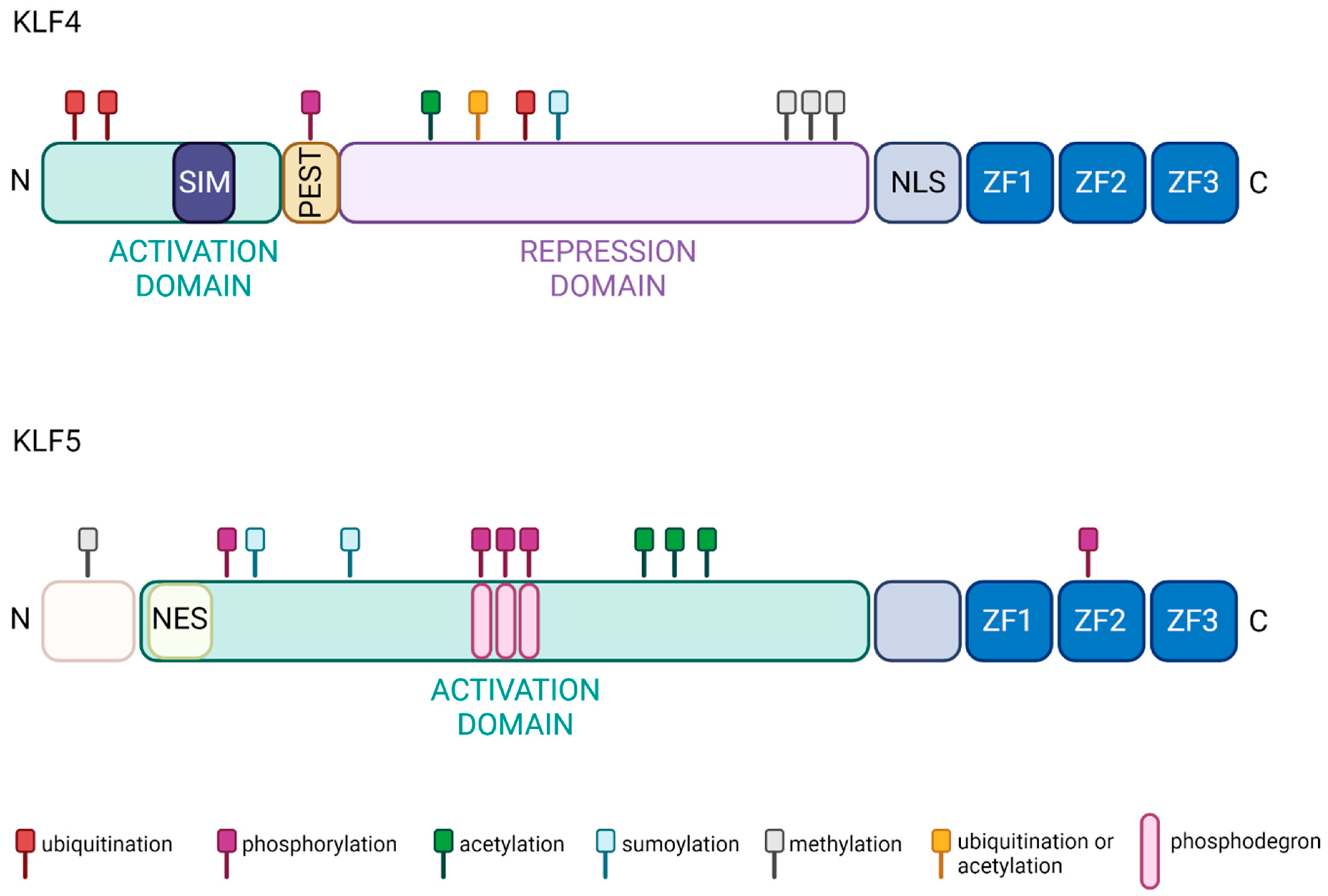 Cancers 15 02430 g001