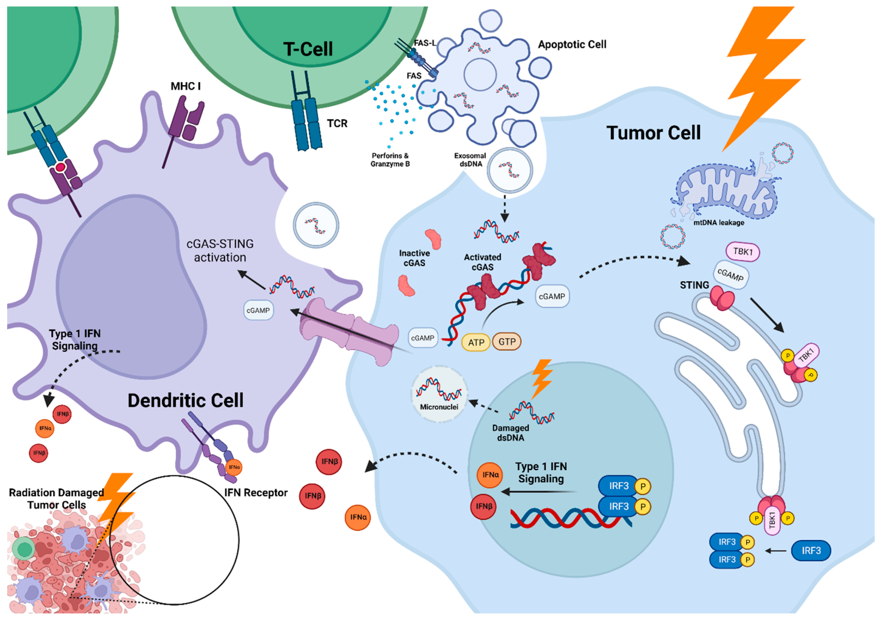 Cancers 15 02432 g001 Cancers 15 02432 g001