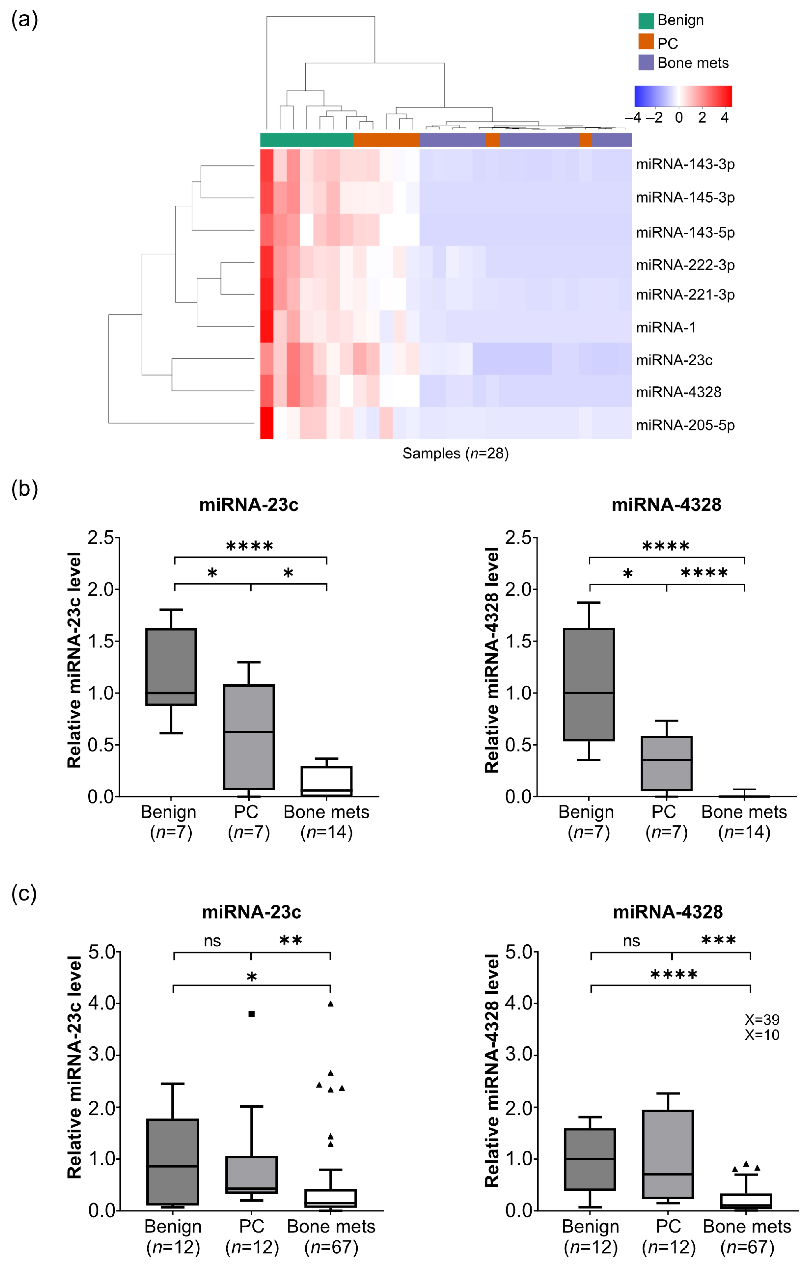 Cancers 15 02437 g001