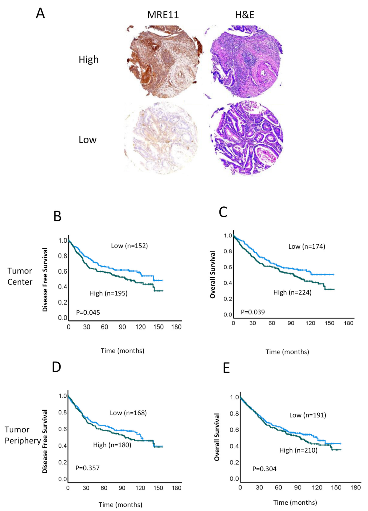 Cancers 15 02438 g001