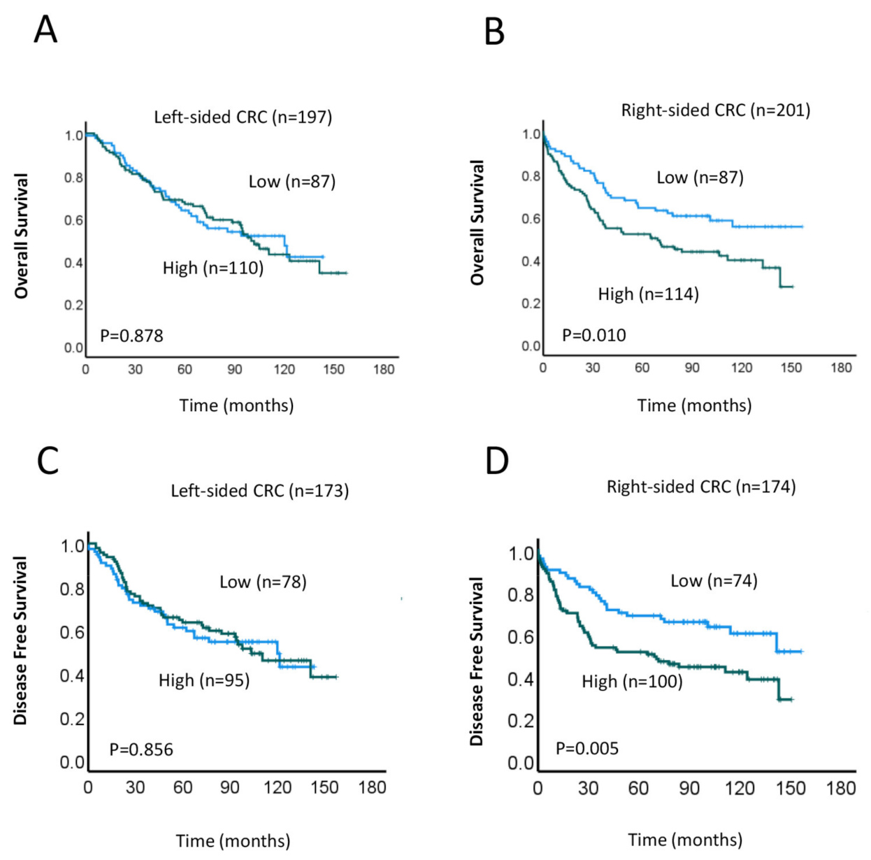Cancers 15 02438 g002
