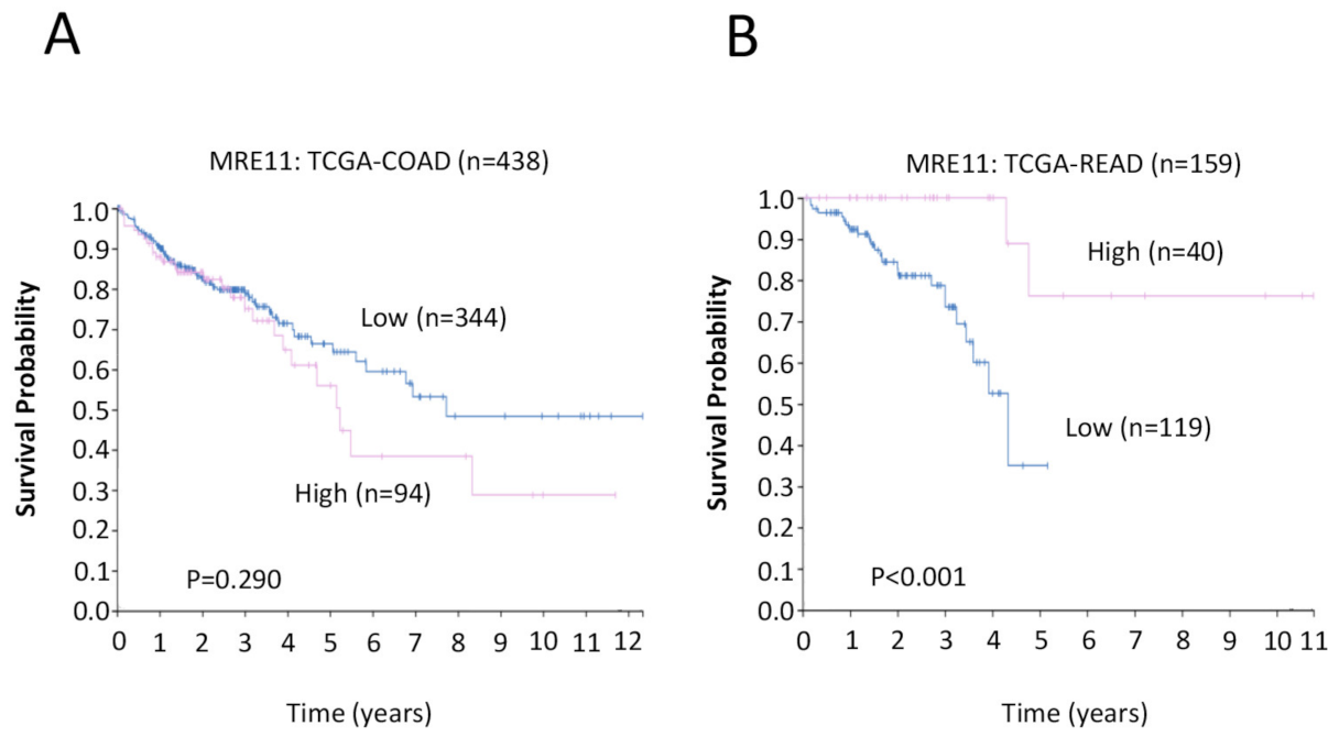 Cancers 15 02438 g004