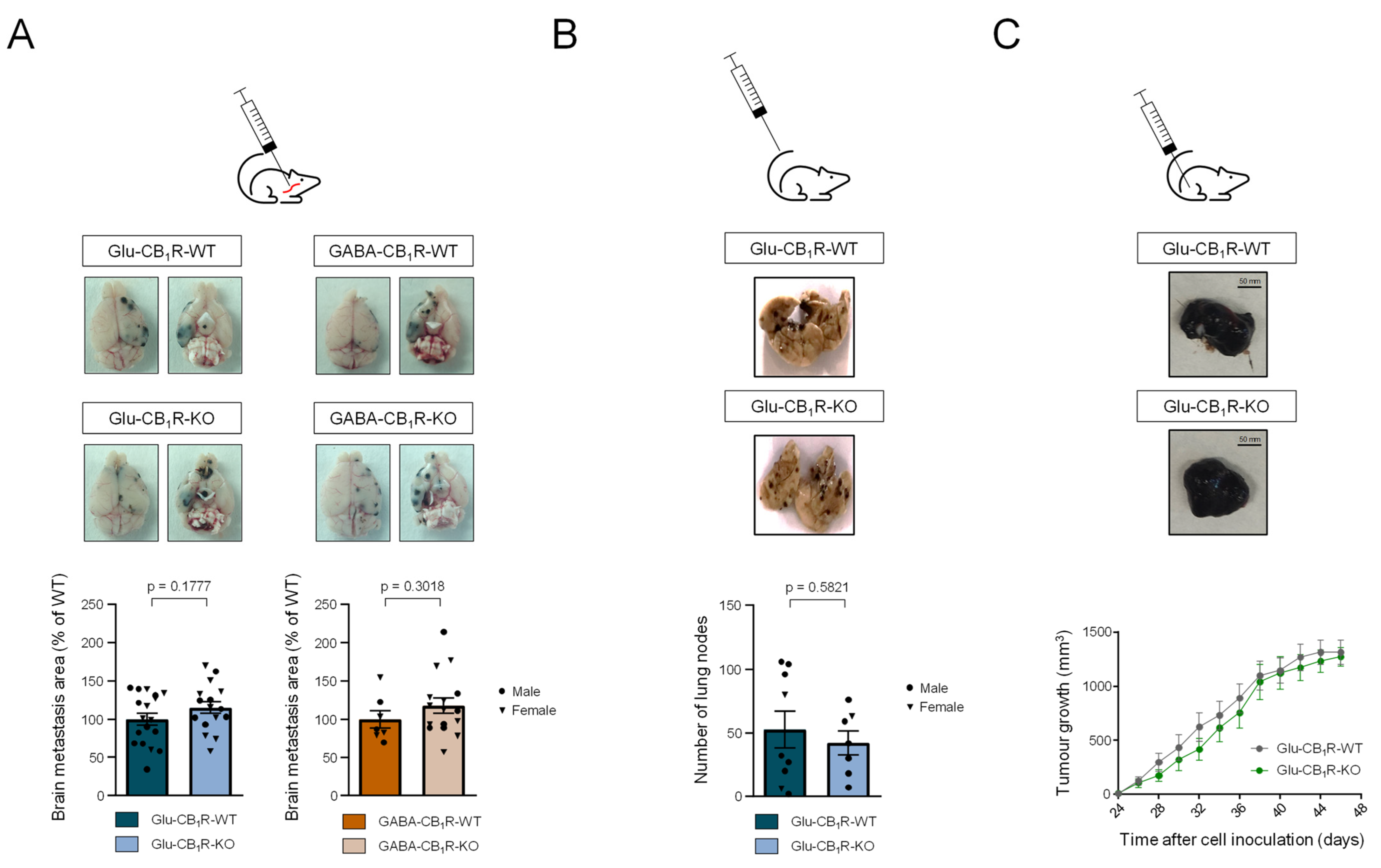 Cancers 15 02439 g006
