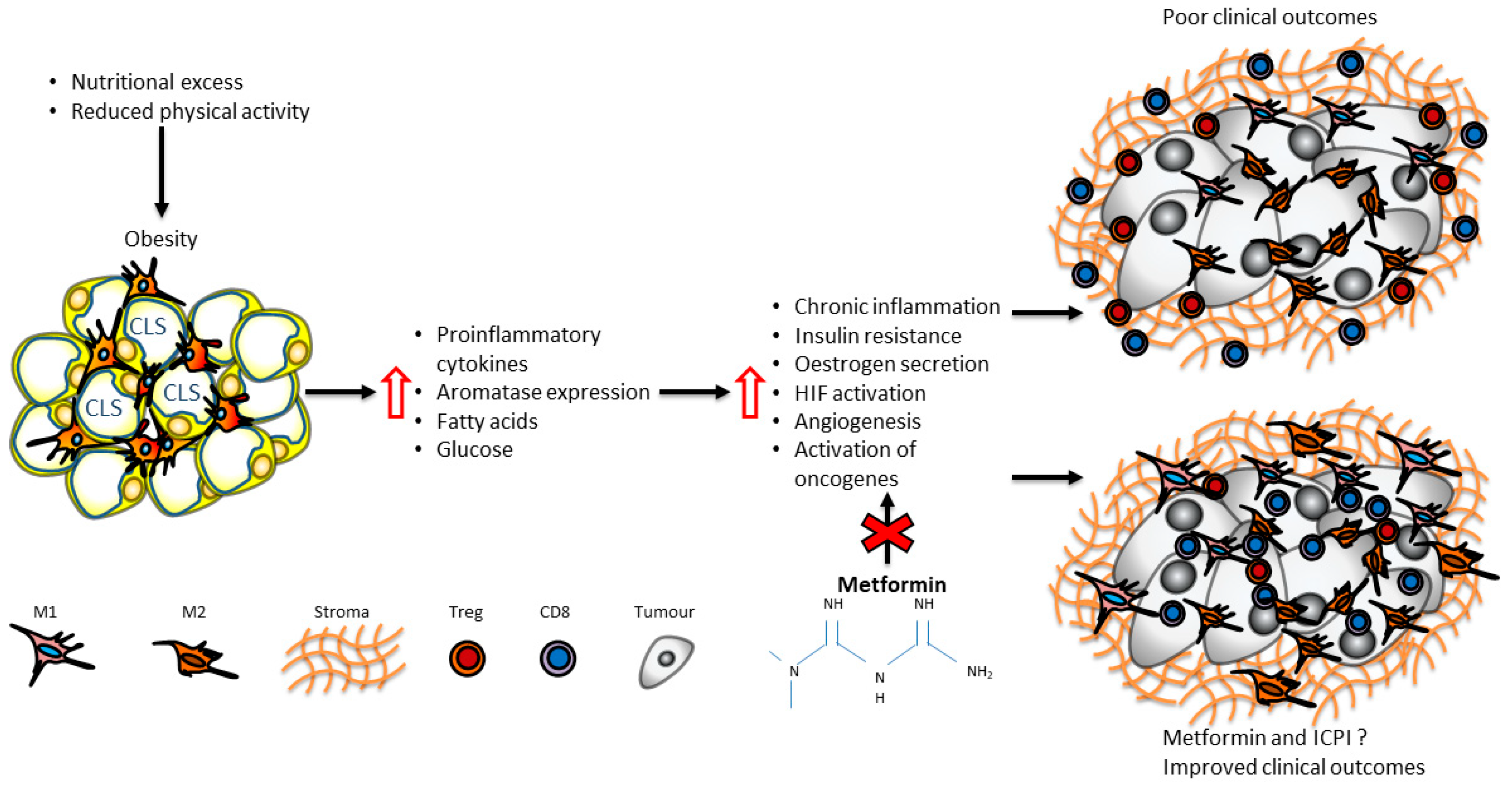 Cancers 15 02440 g002 Cancers 15 02440 g002