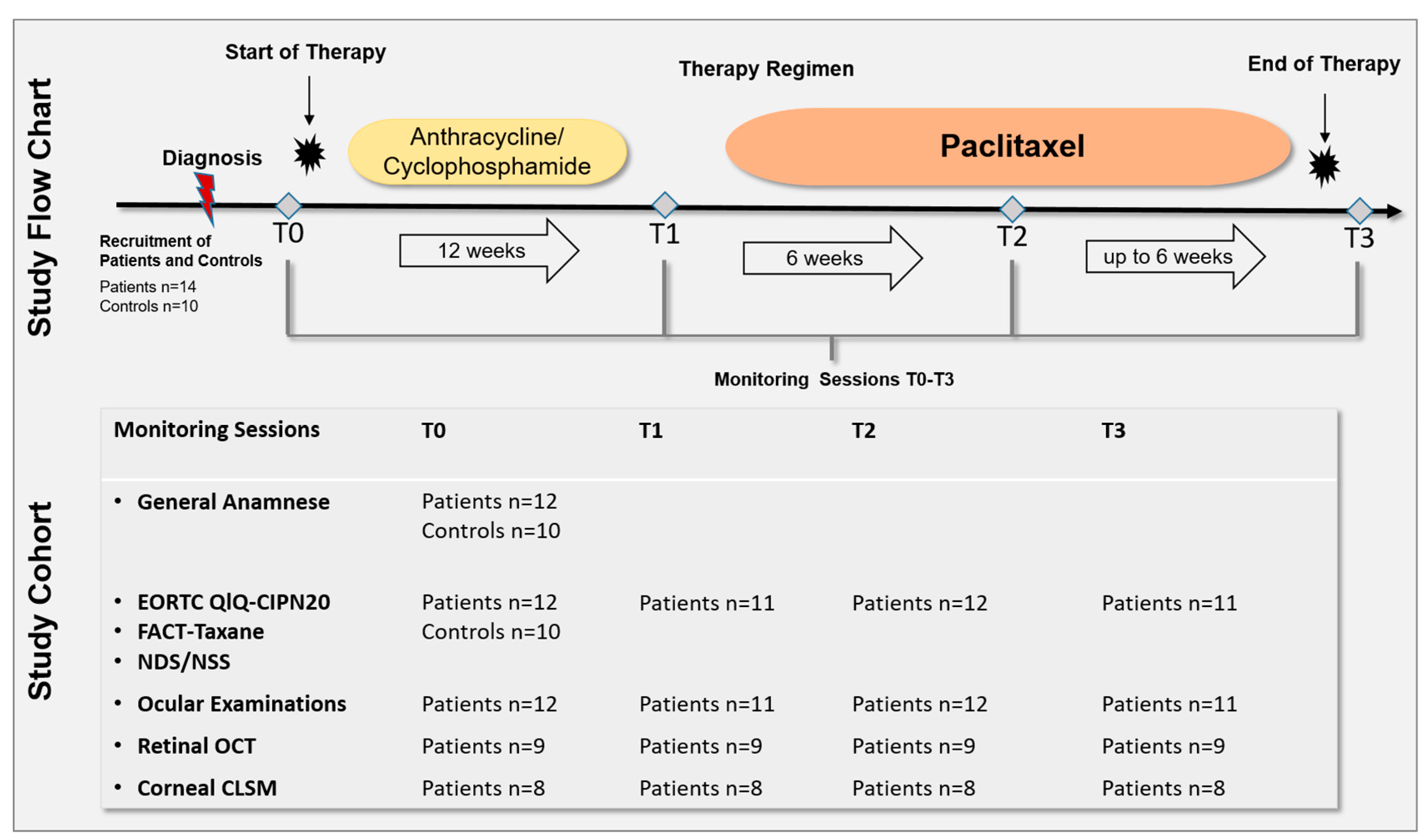 Cancers 15 02444 g001 Cancers 15 02444 g001