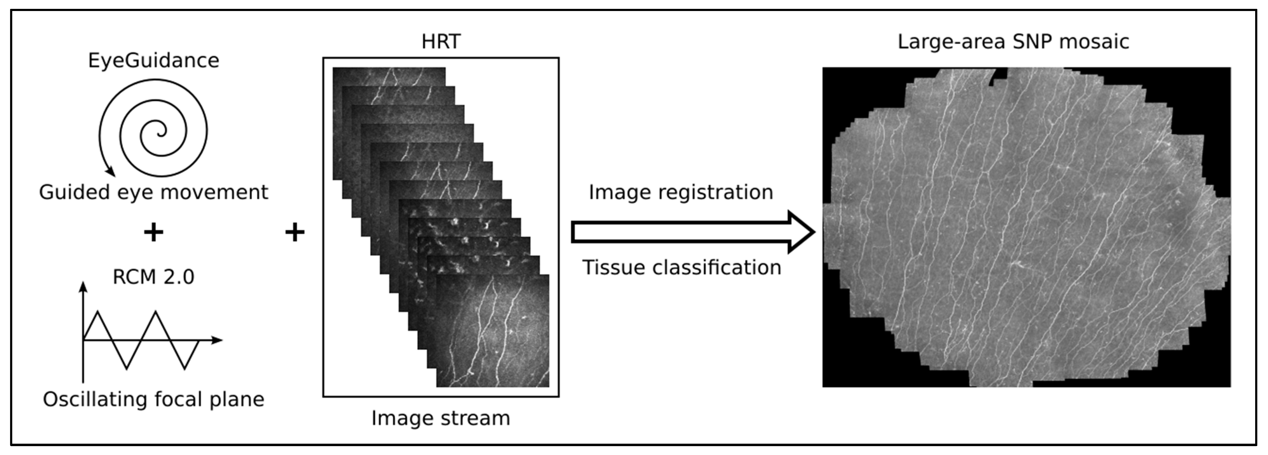 Cancers 15 02444 g003 Cancers 15 02444 g003