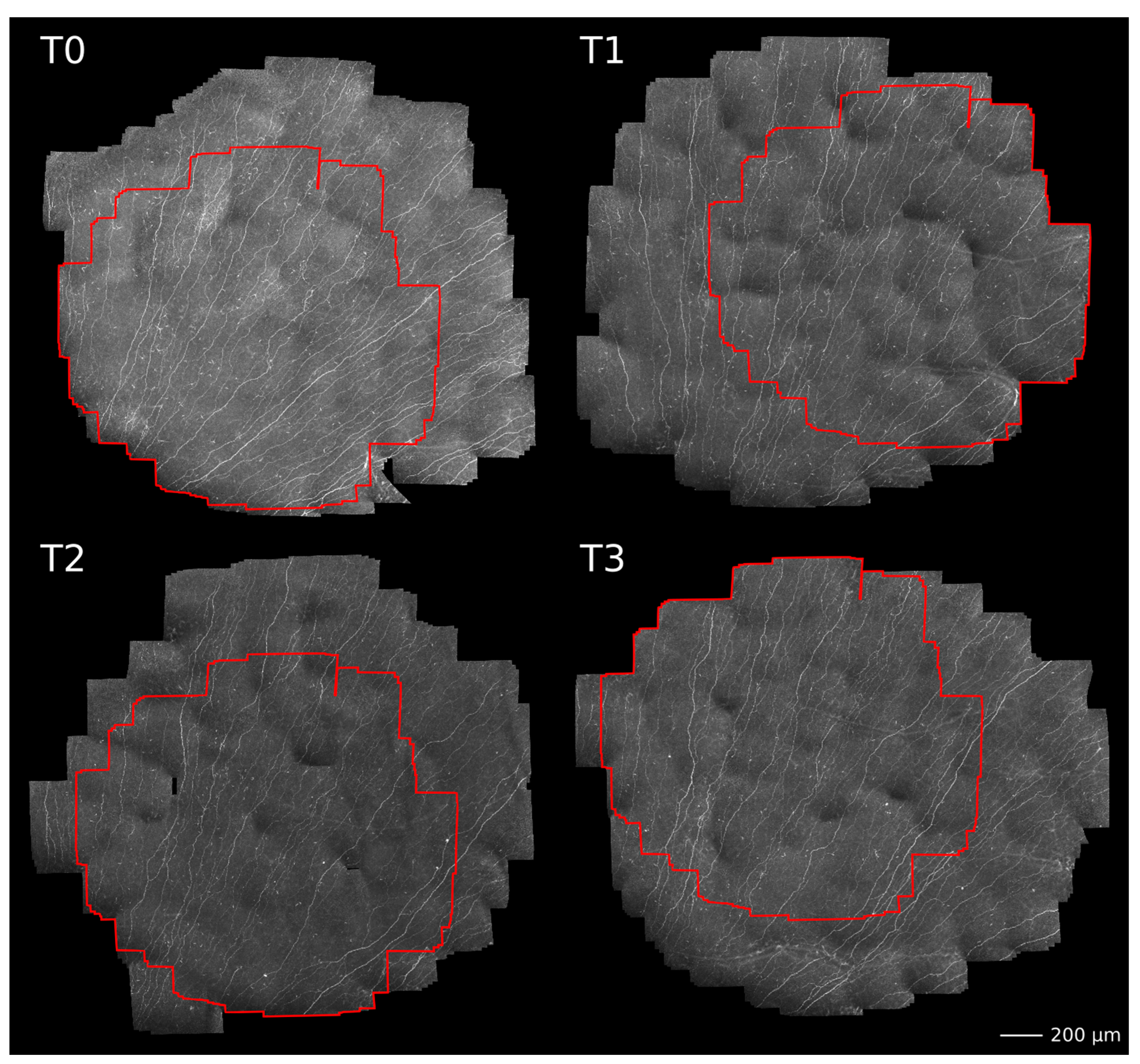 Cancers 15 02444 g007 Cancers 15 02444 g007