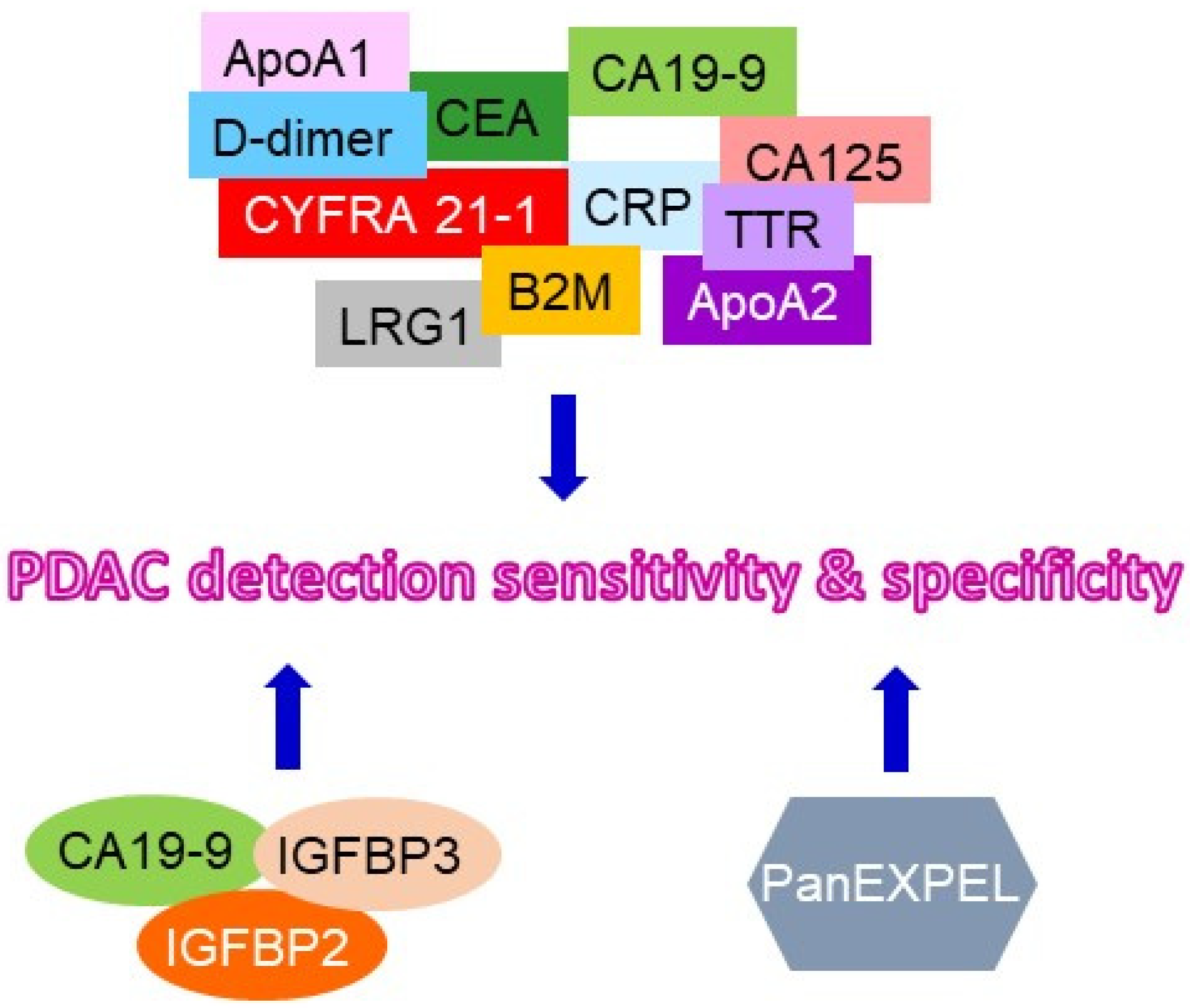 Cancers 15 02446 g002 Cancers 15 02446 g002