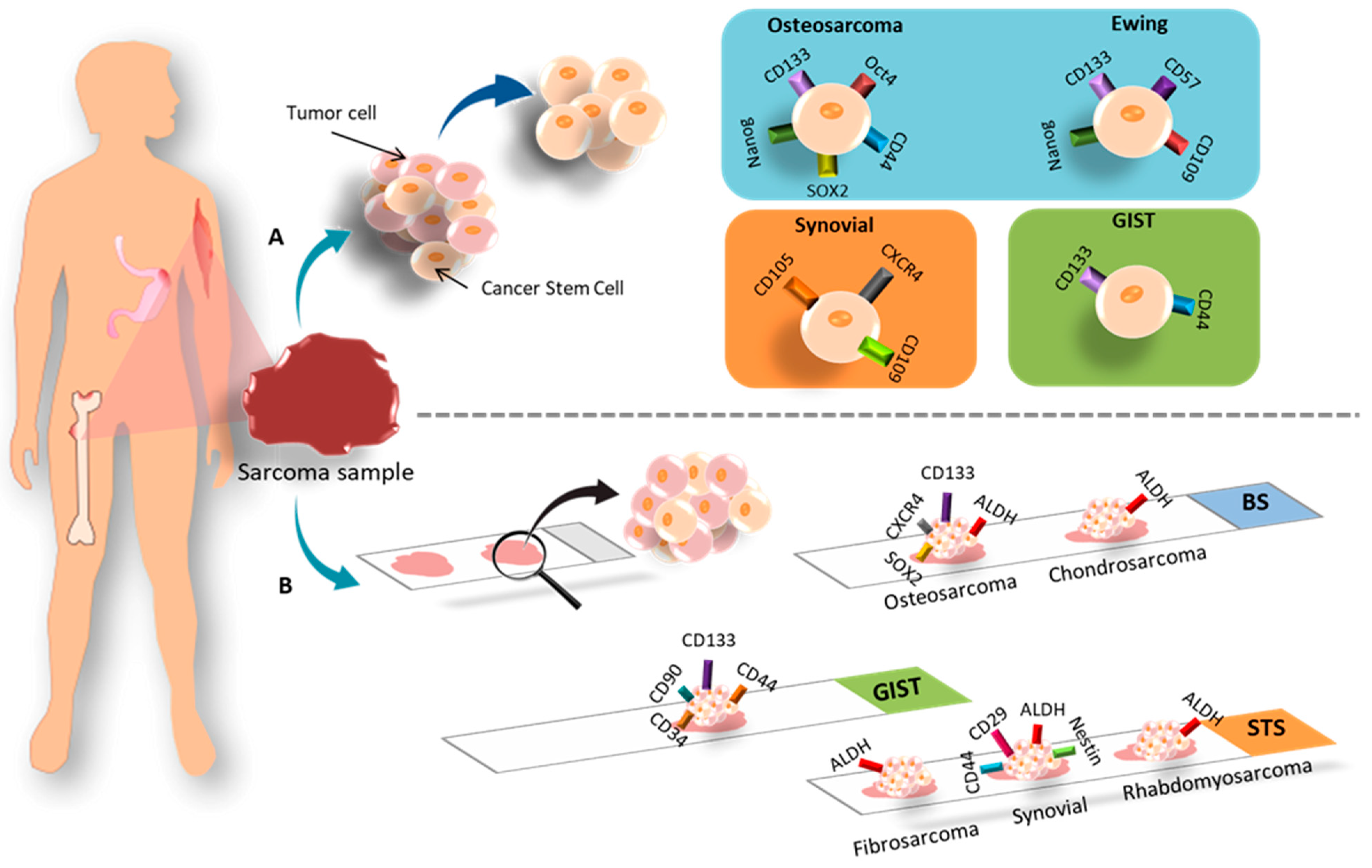 Cancers 15 02449 g005 Cancers 15 02449 g005