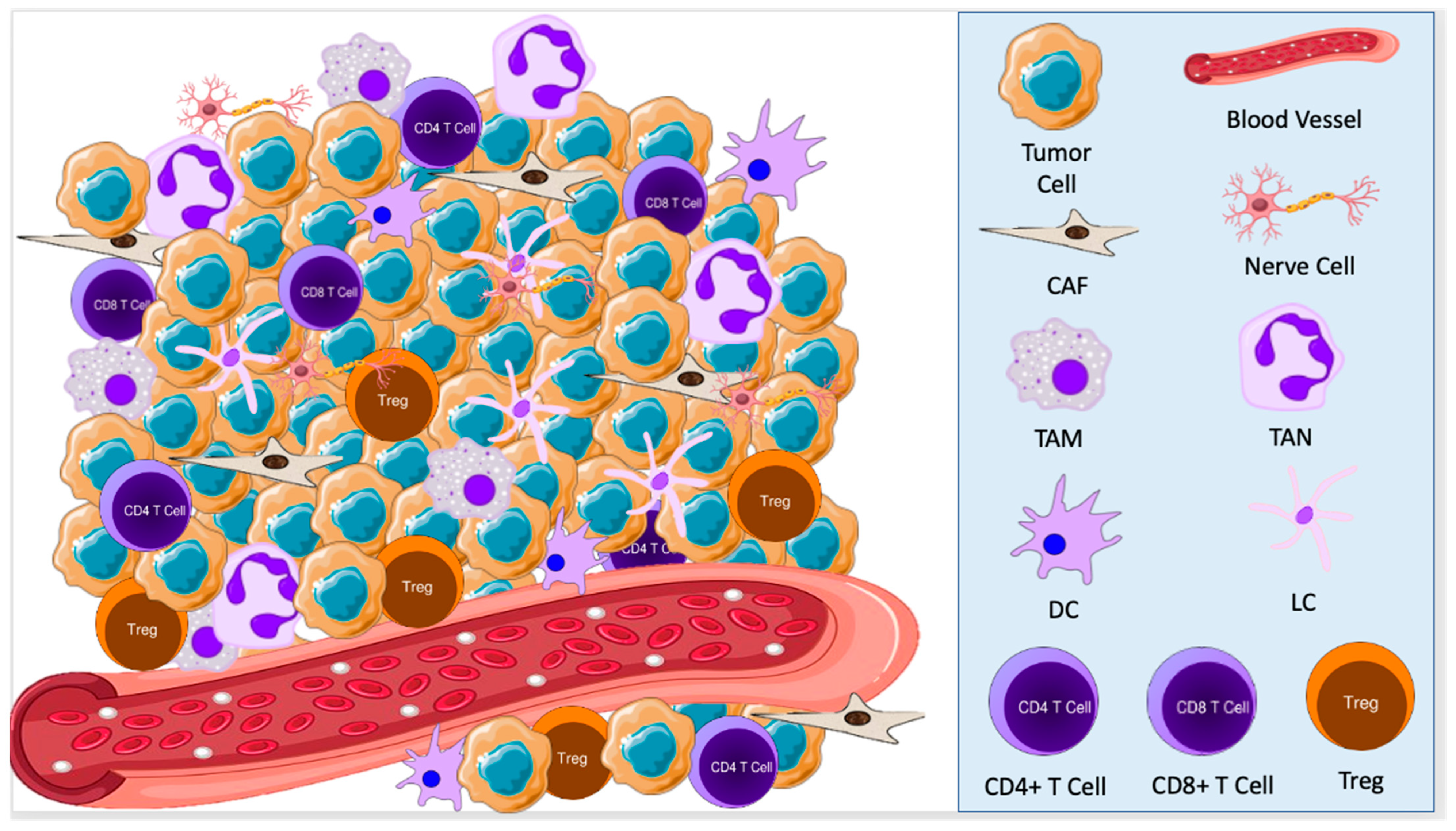 Cancers 15 02453 g001 Cancers 15 02453 g001
