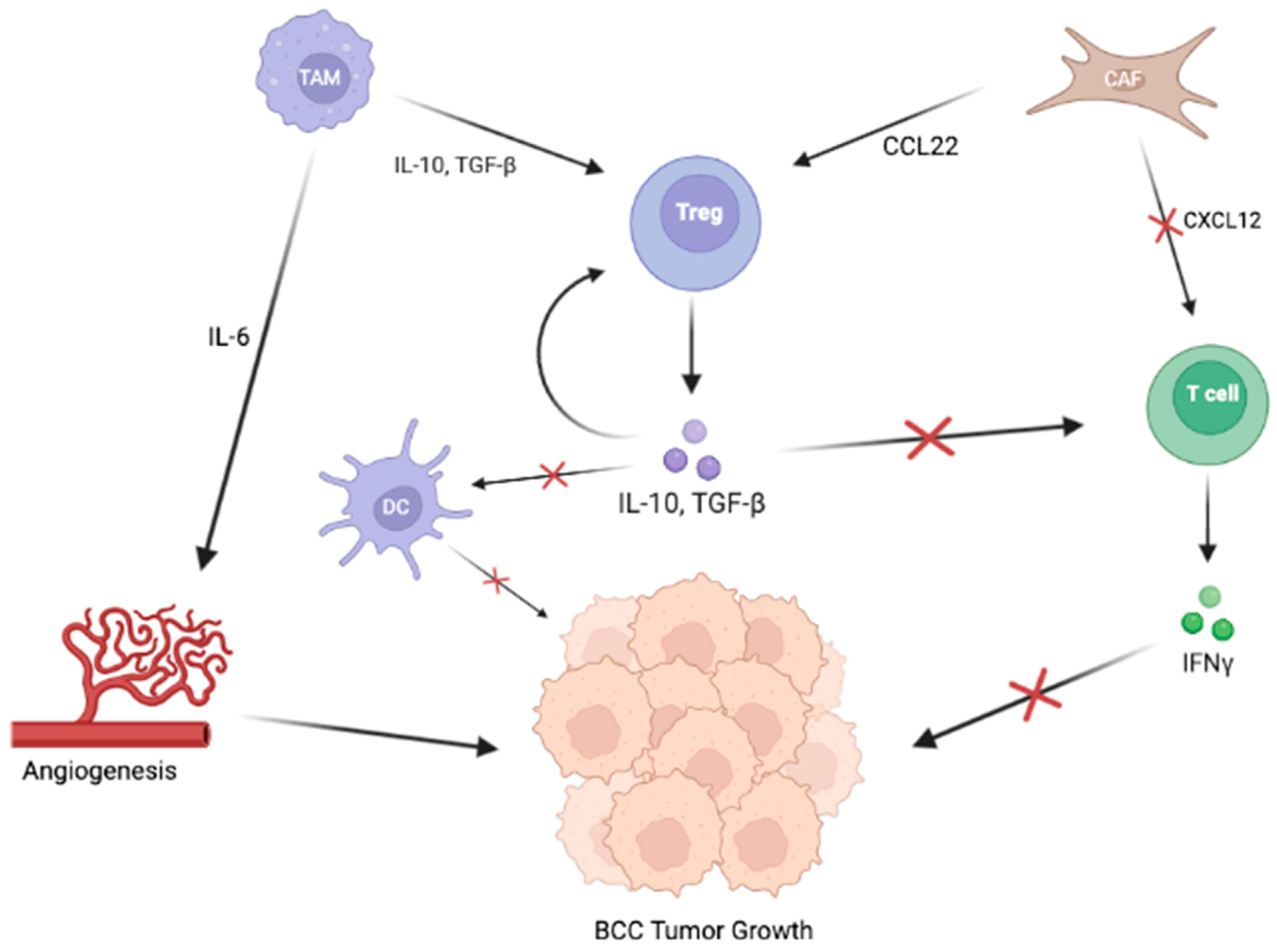 Cancers 15 02453 g002 Cancers 15 02453 g002