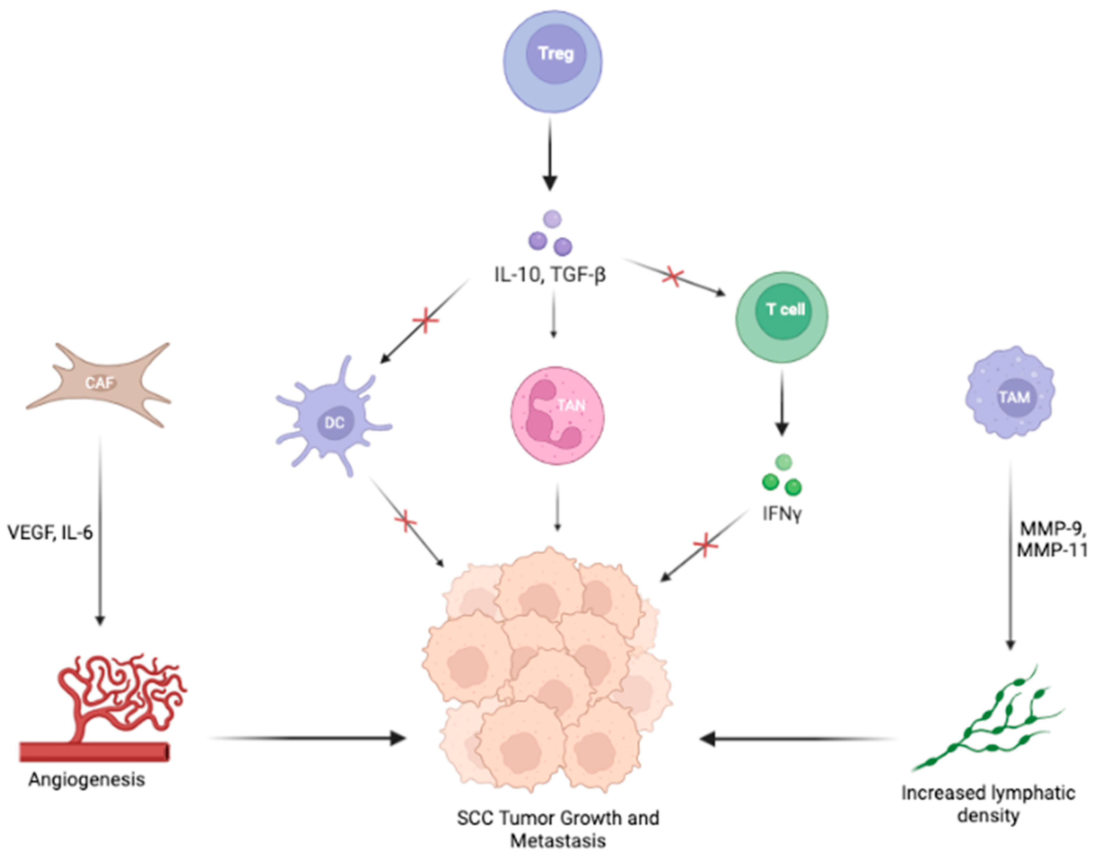 Cancers 15 02453 g003 Cancers 15 02453 g003