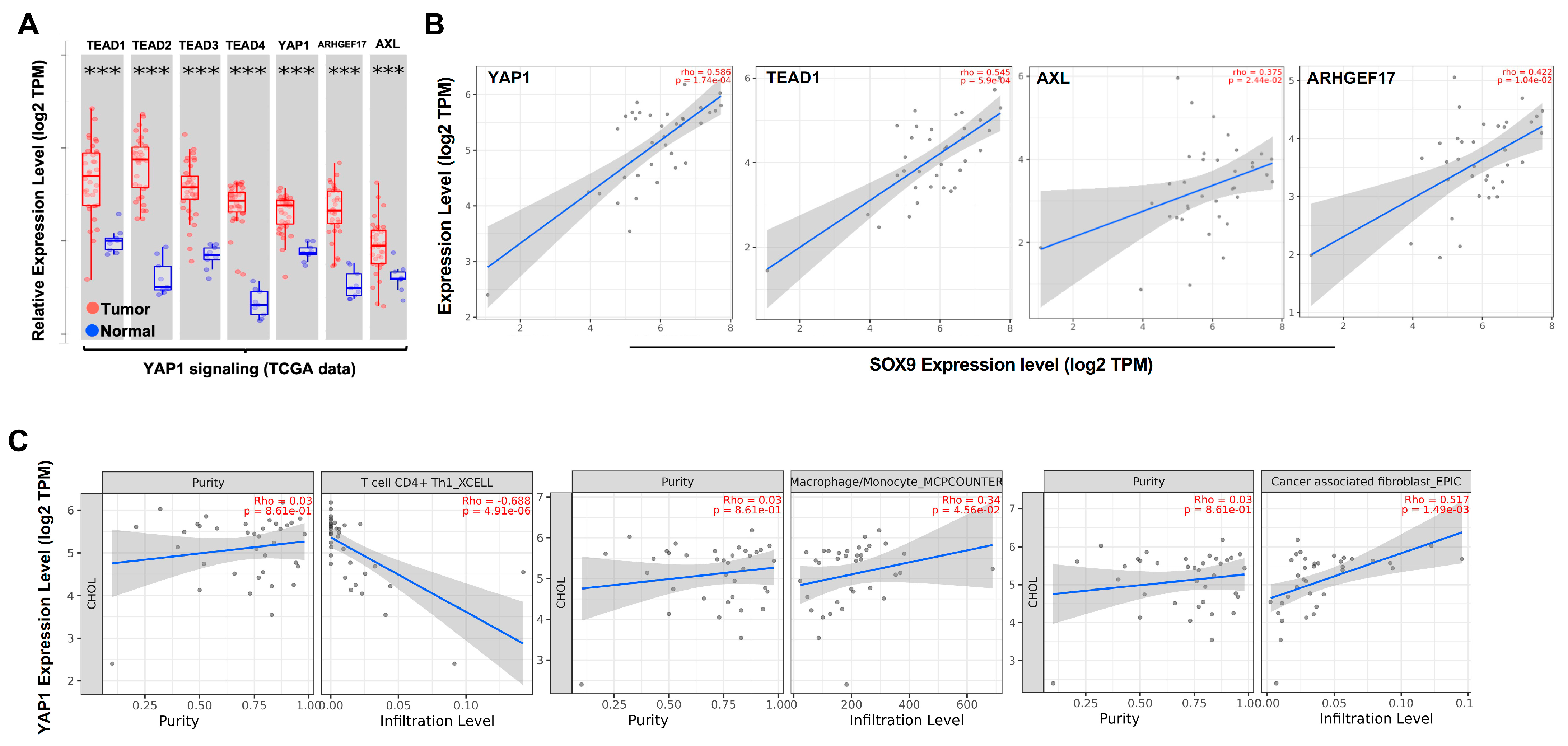 Cancers 15 02454 g001