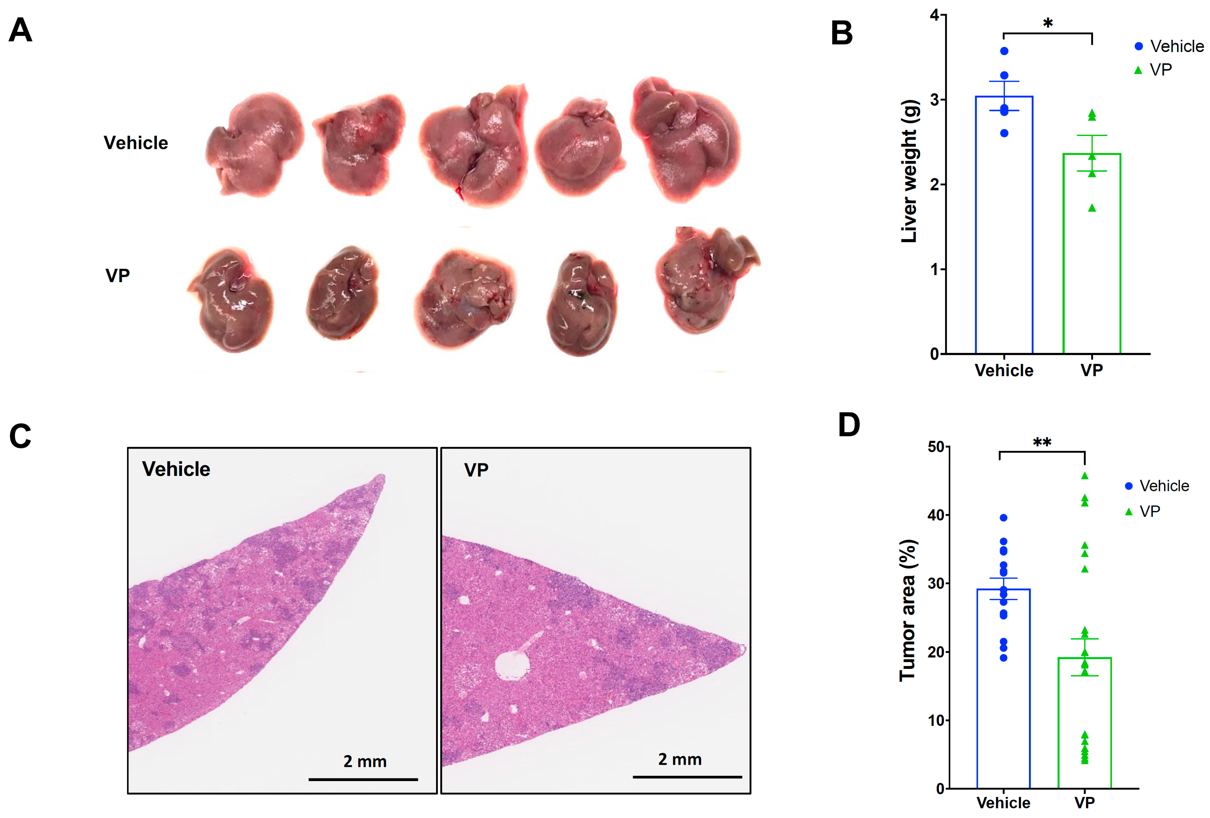 Cancers 15 02454 g002