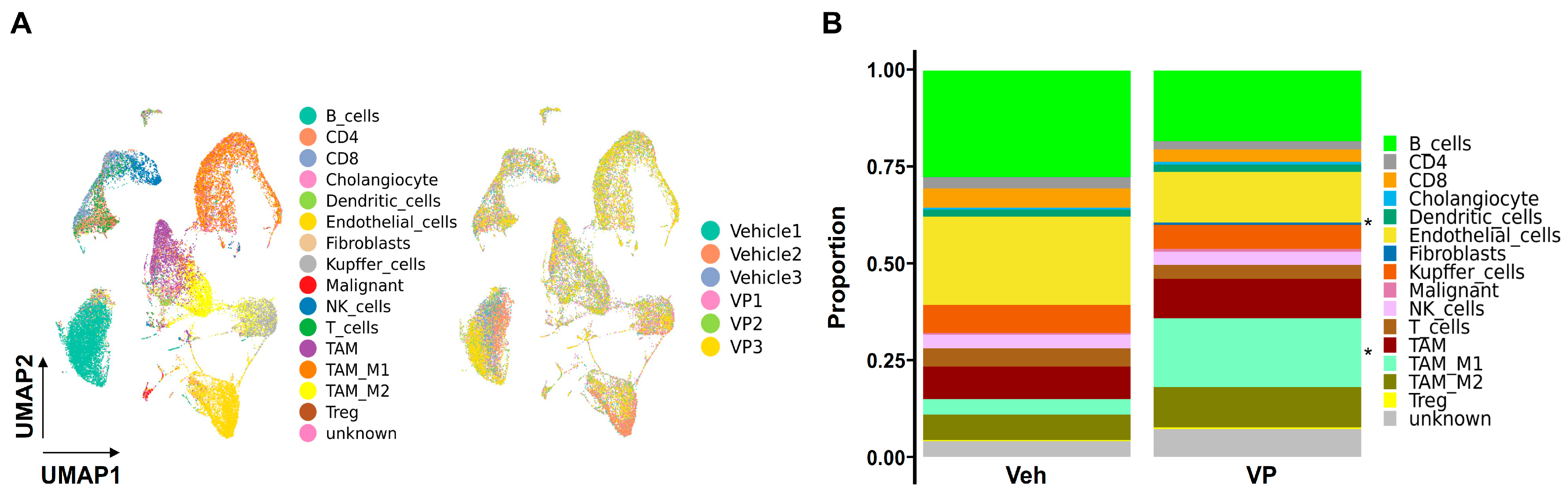 Cancers 15 02454 g005