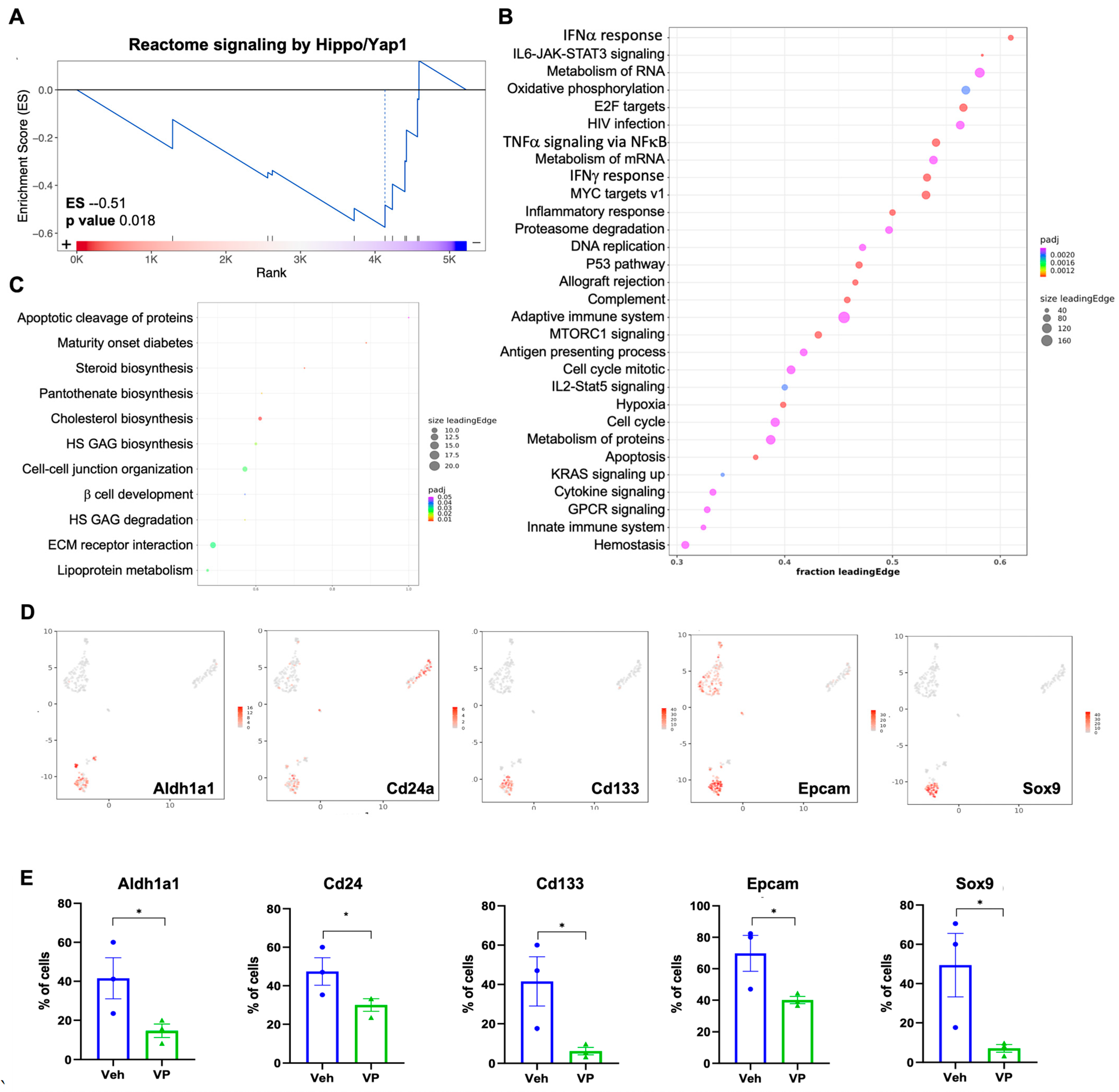 Cancers 15 02454 g006
