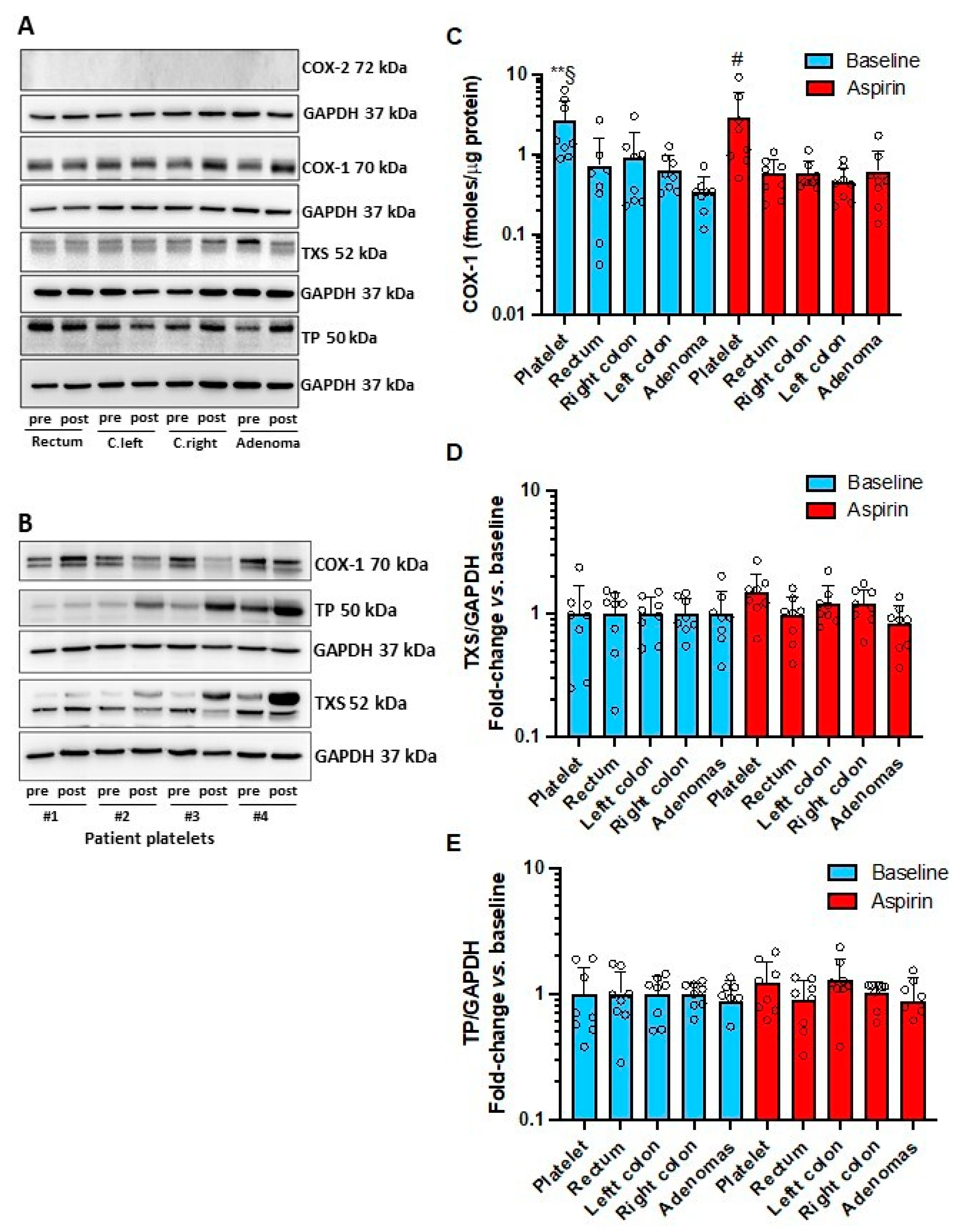 Cancers 15 02457 g004 Cancers 15 02457 g004