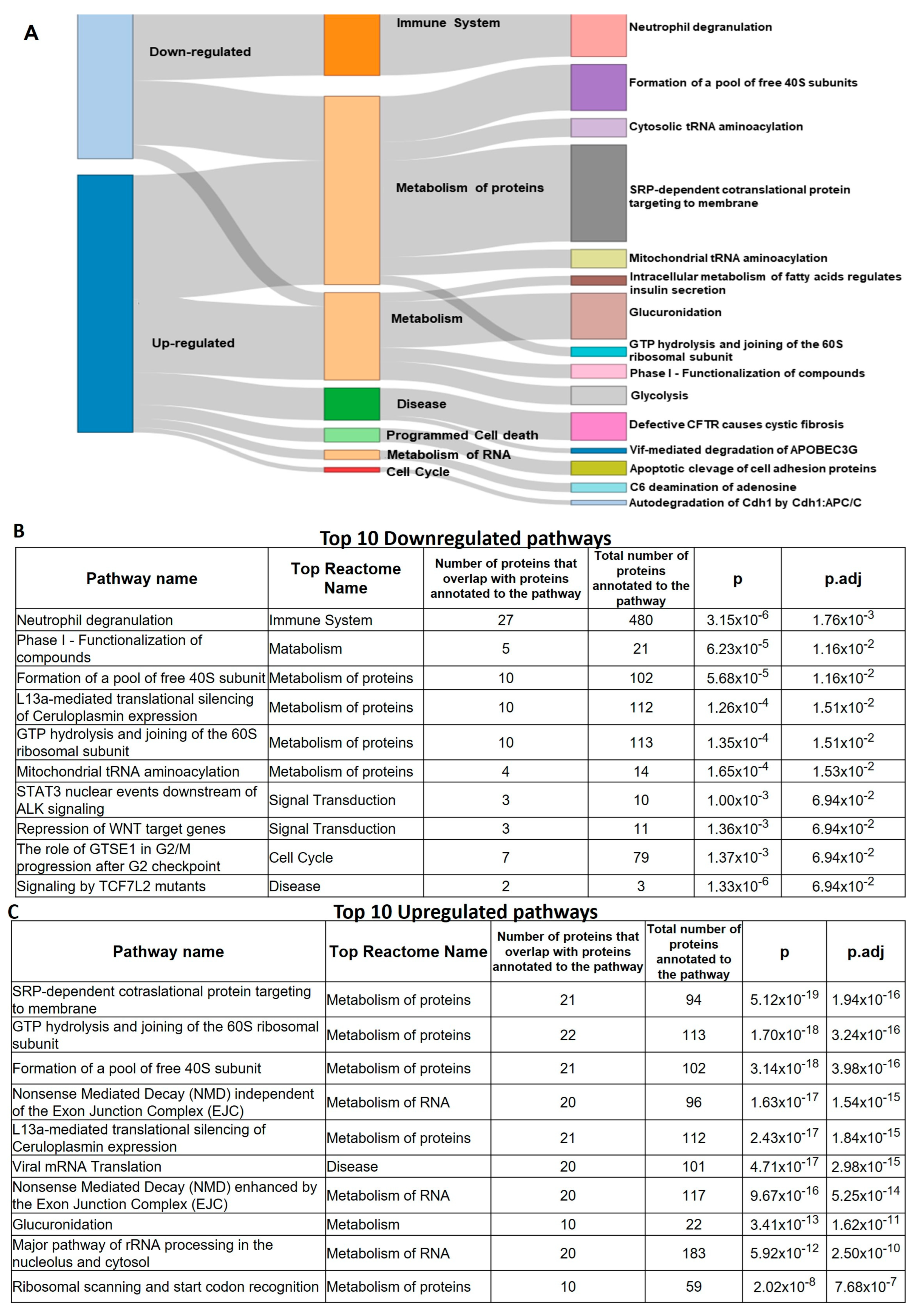 Cancers 15 02457 g008 Cancers 15 02457 g008