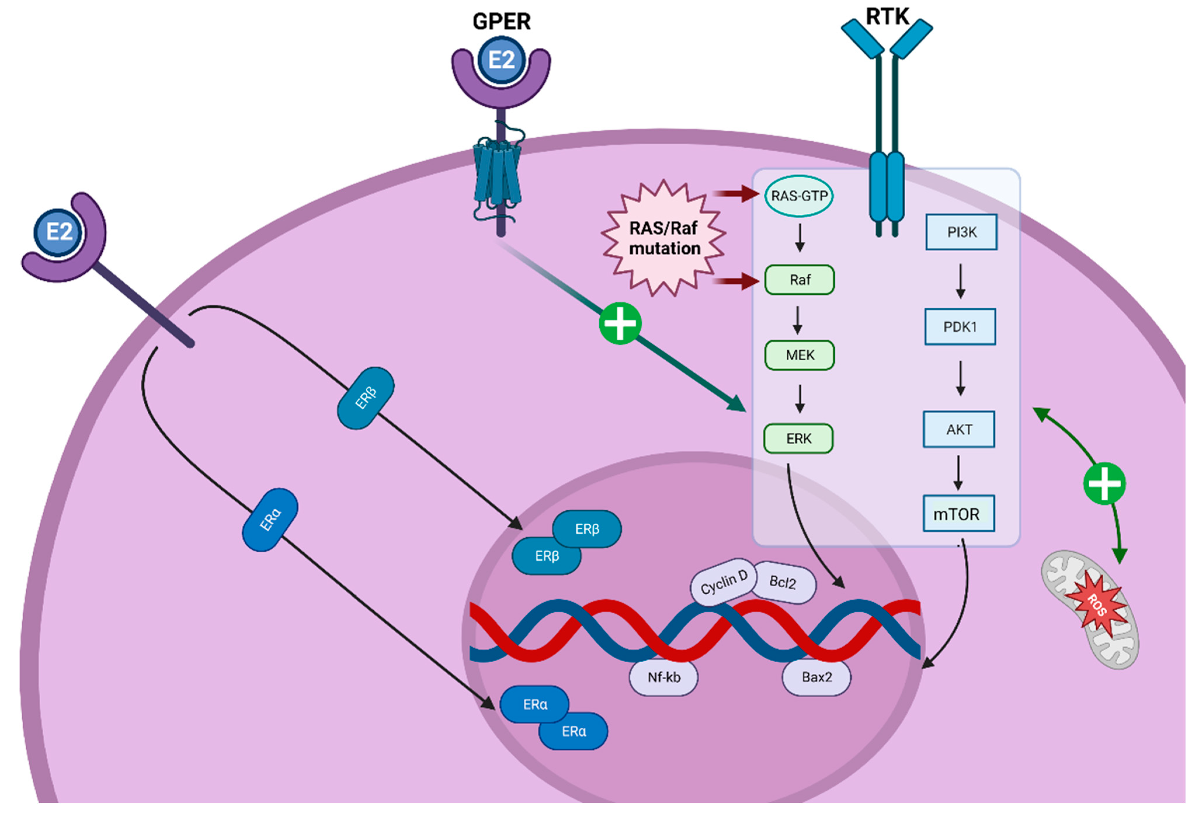 Cancers 15 02458 g002 Cancers 15 02458 g002